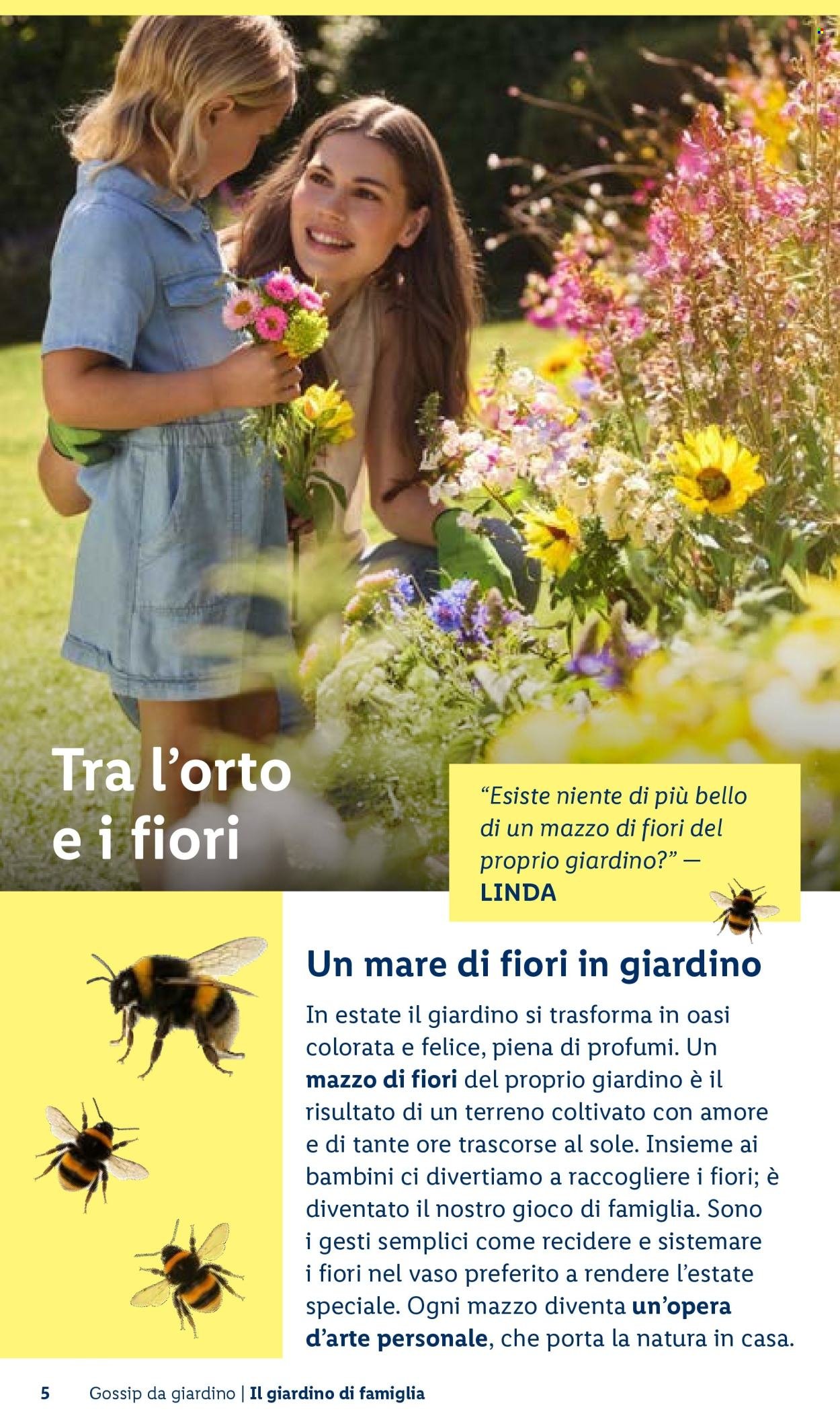 Offerta LIDL - Vivi il tuo giardino (2026-04-22)
