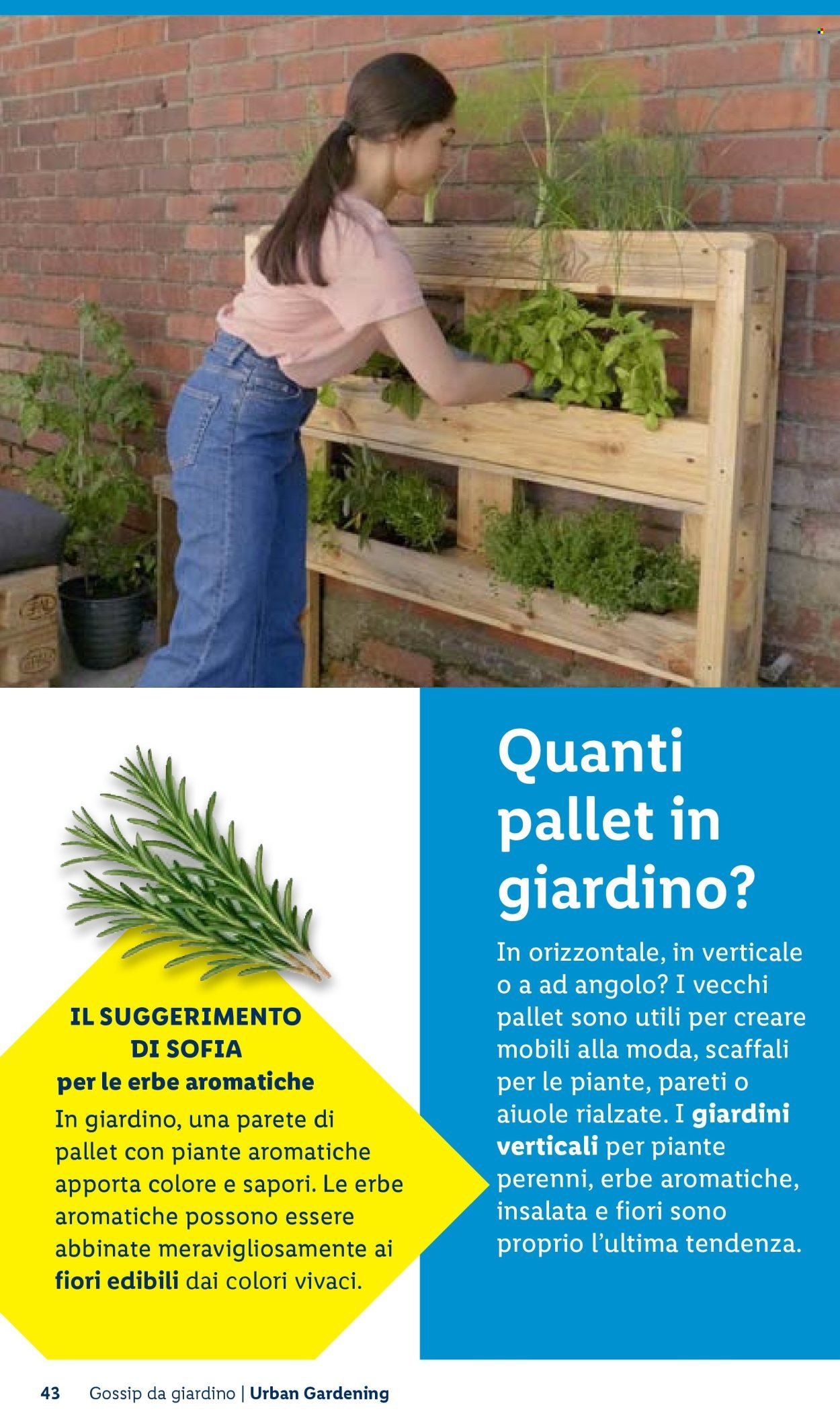 Offerta LIDL - Vivi il tuo giardino (2026-04-22)