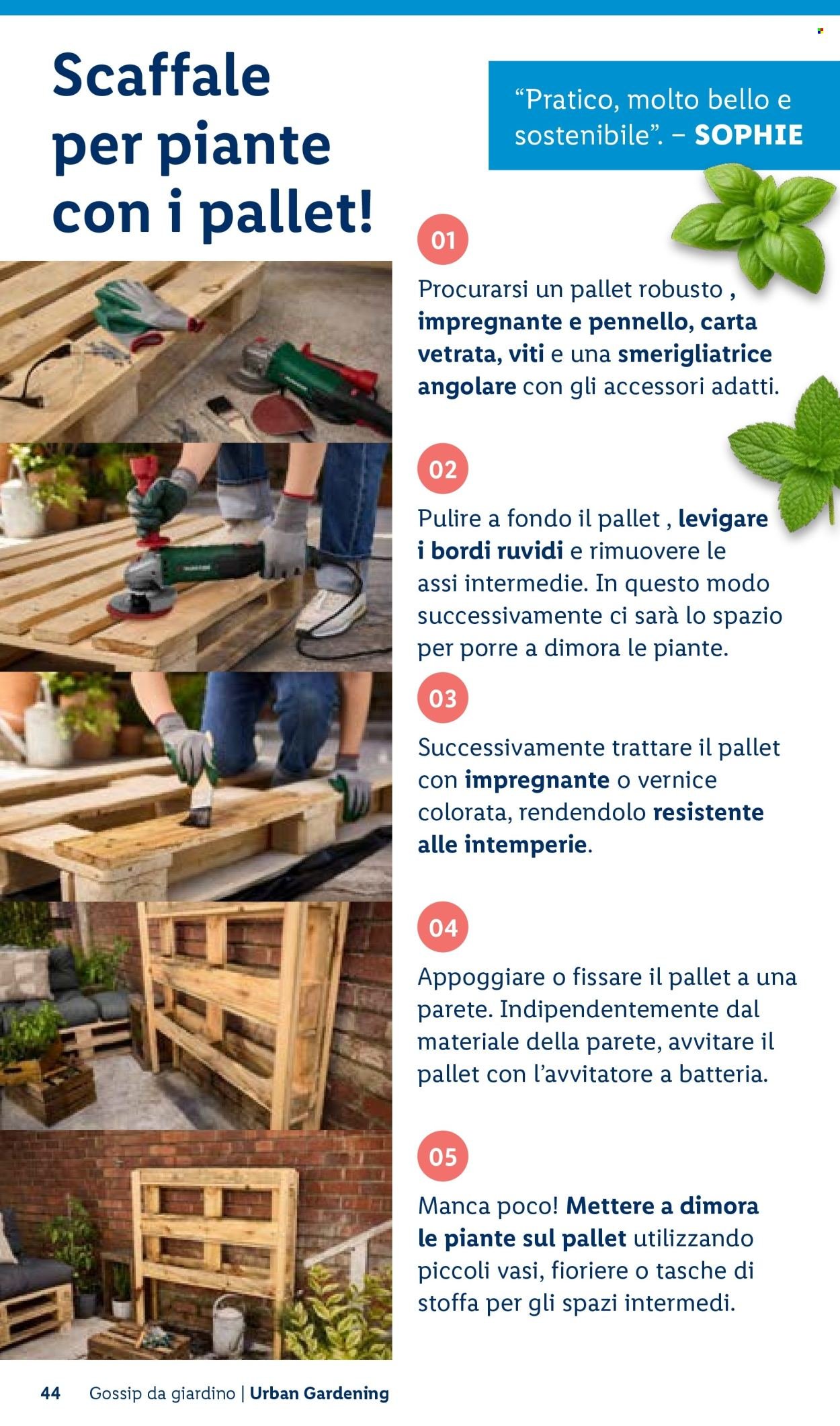 Offerta LIDL - Vivi il tuo giardino (2026-04-22)
