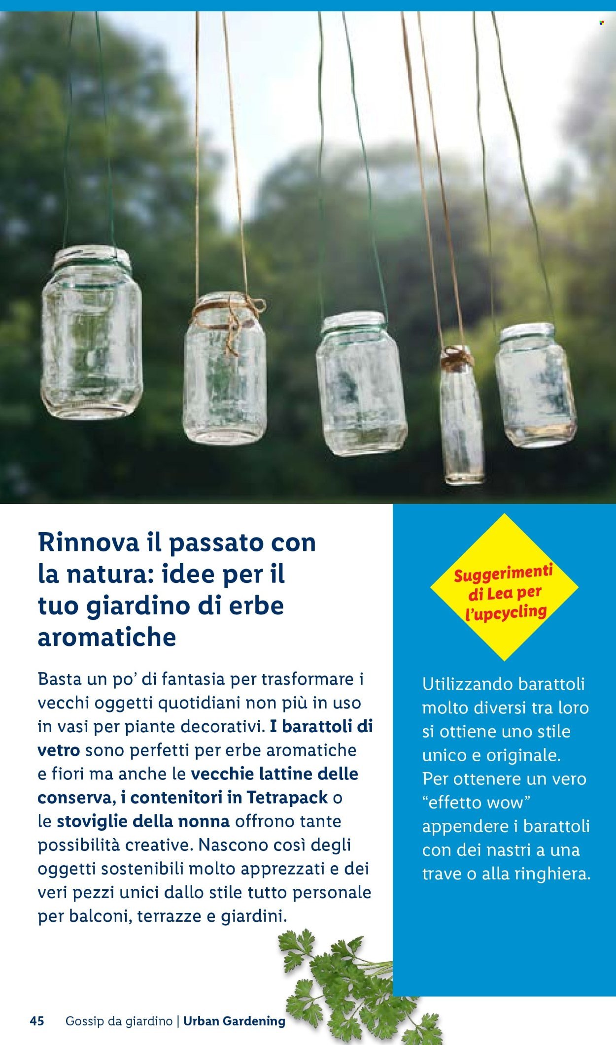 Offerta LIDL - Vivi il tuo giardino (2026-04-22)