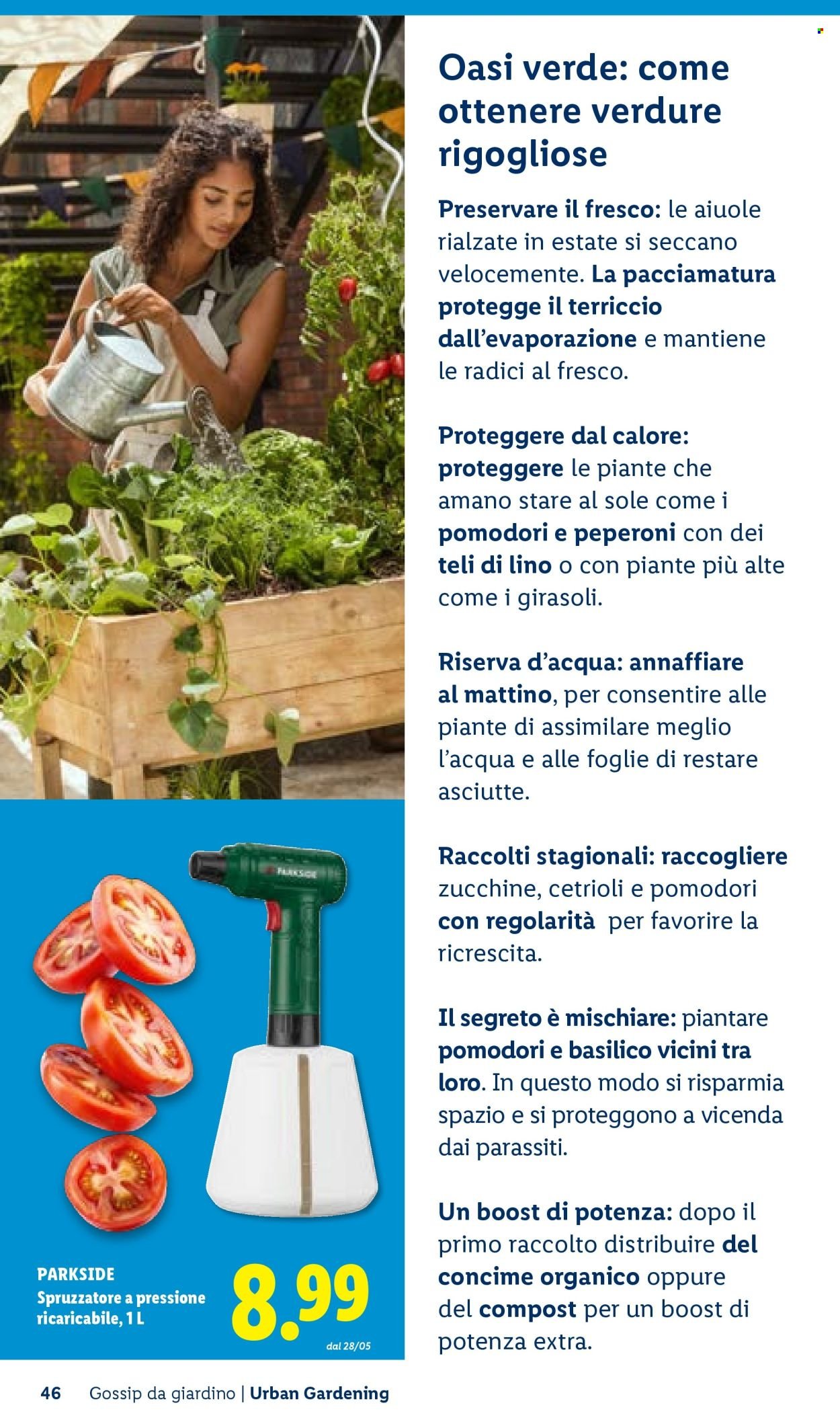 Offerta LIDL - Vivi il tuo giardino (2026-04-22)