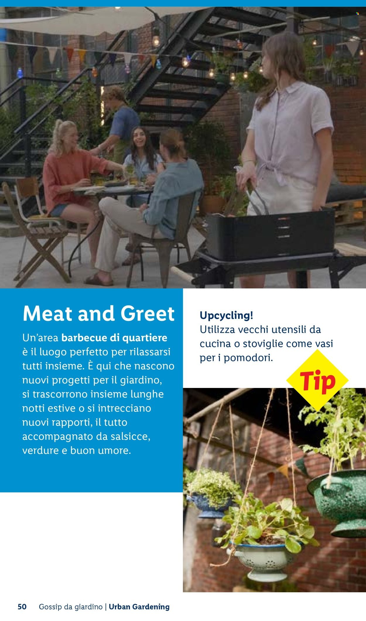 Offerta LIDL - Vivi il tuo giardino (2026-04-22)