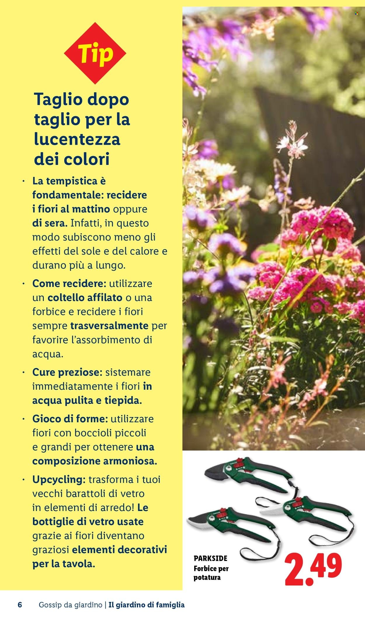 Offerta LIDL - Vivi il tuo giardino (2026-04-22)