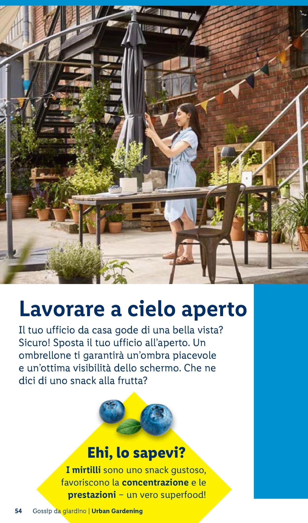 Offerta LIDL - Vivi il tuo giardino (2026-04-22)