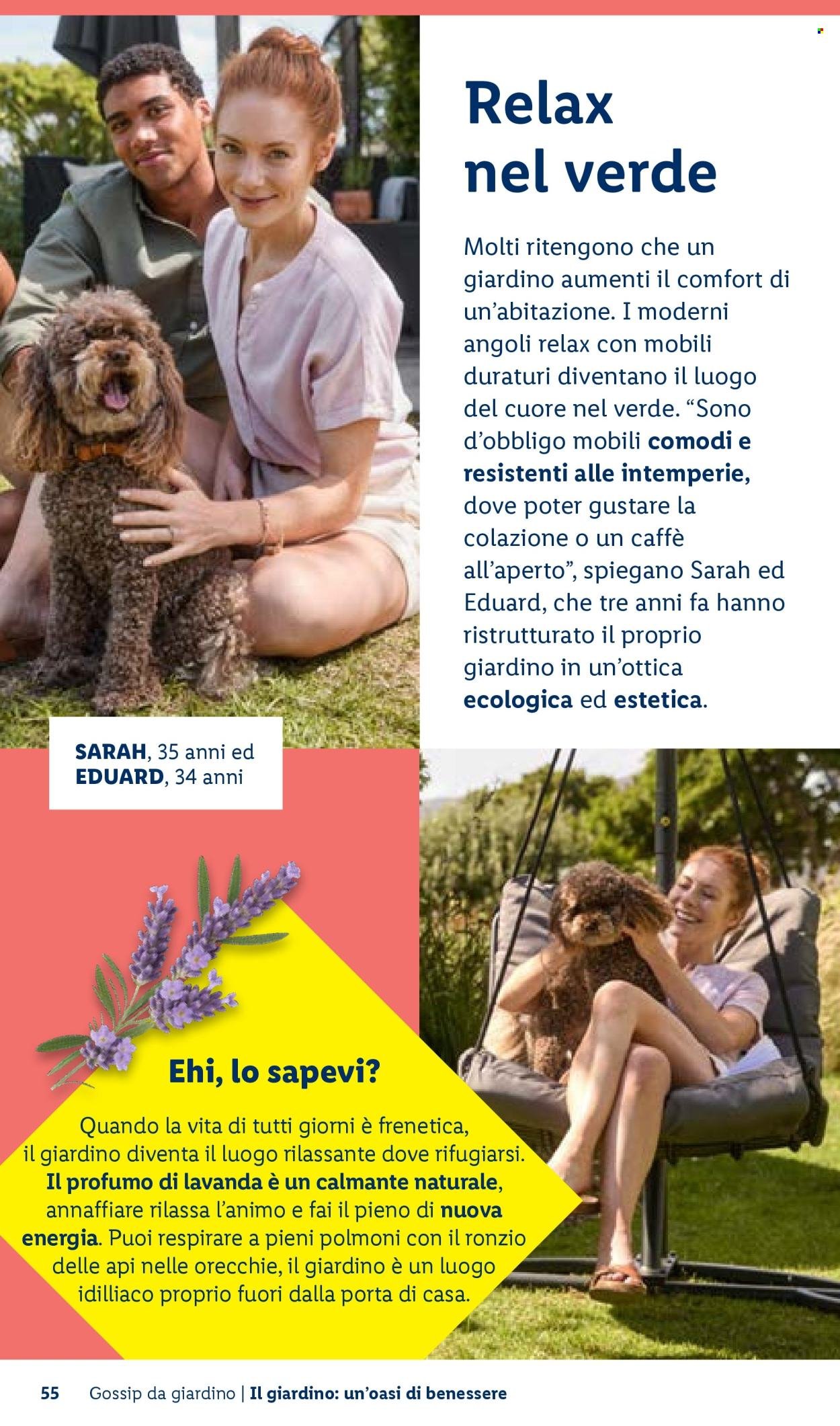 Offerta LIDL - Vivi il tuo giardino (2026-04-22)