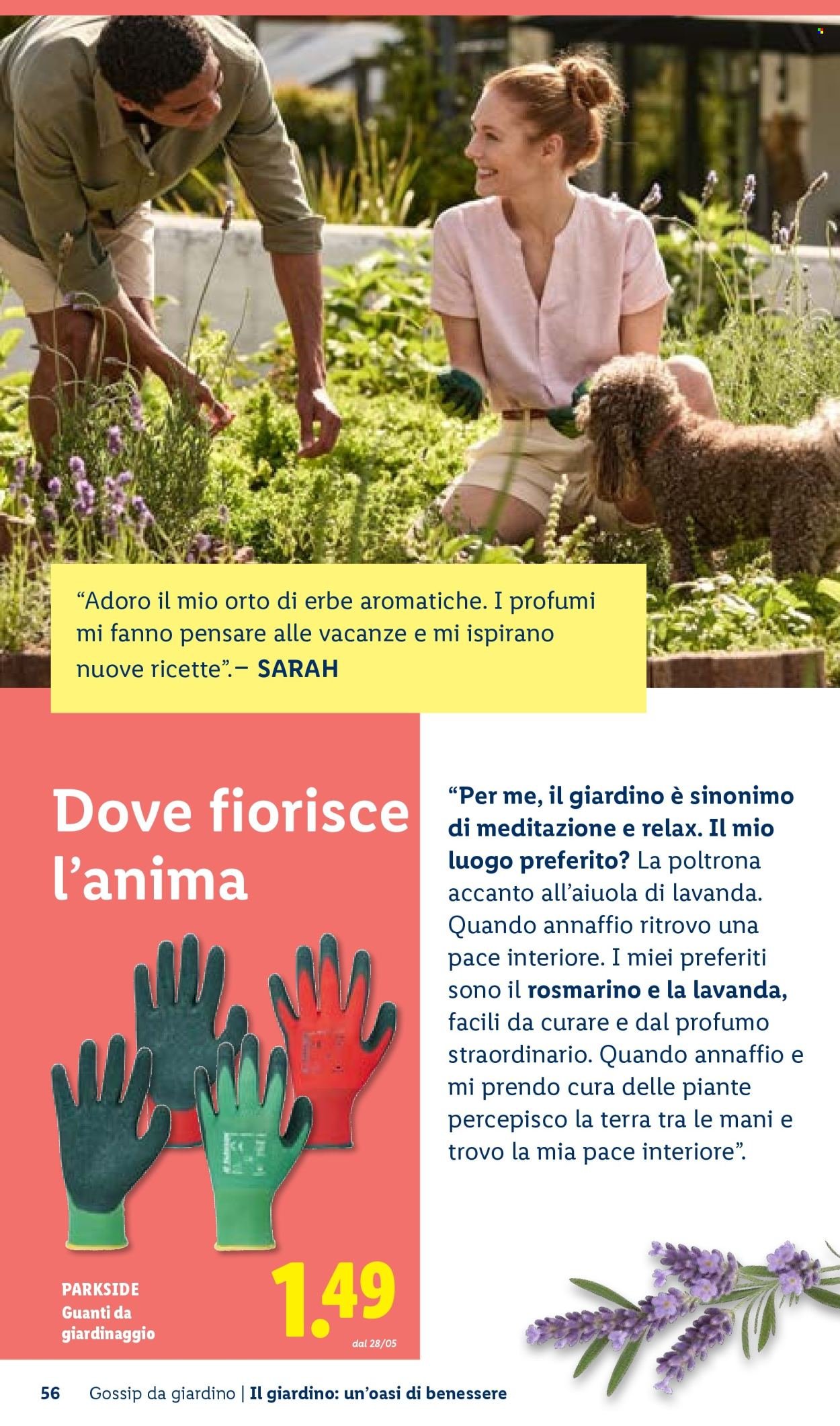 Offerta LIDL - Vivi il tuo giardino (2026-04-22)