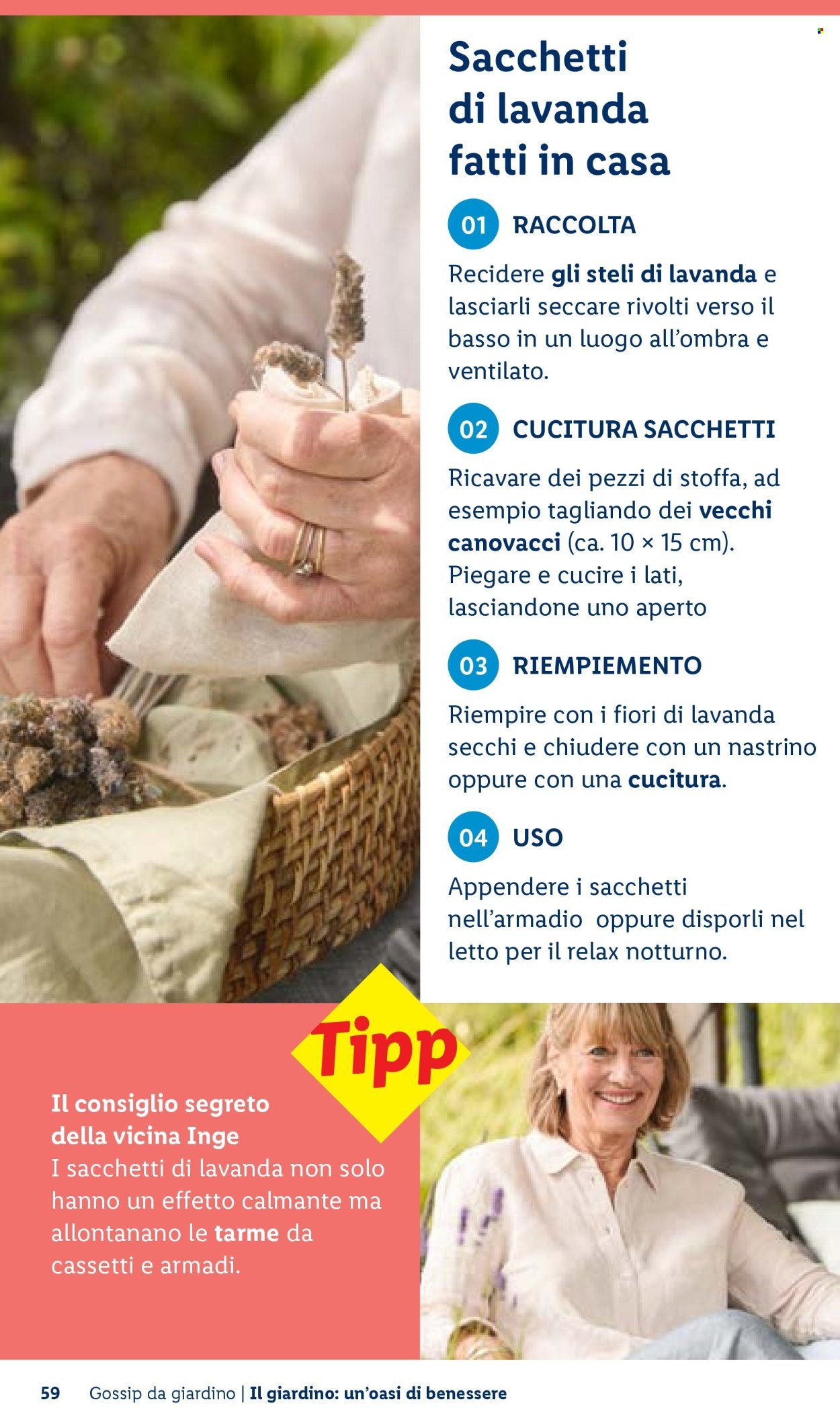 Offerta LIDL - Vivi il tuo giardino (2026-04-22)