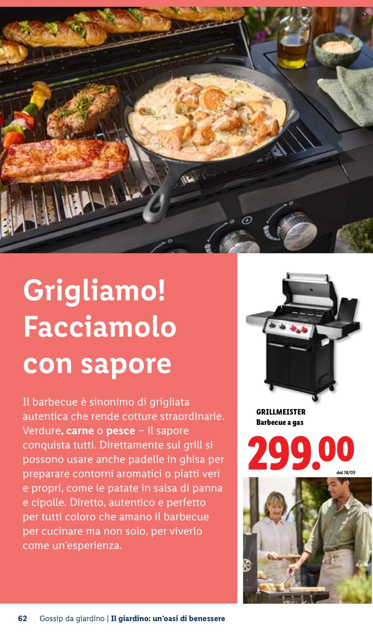 Offerta LIDL - Vivi il tuo giardino (2026-04-22)