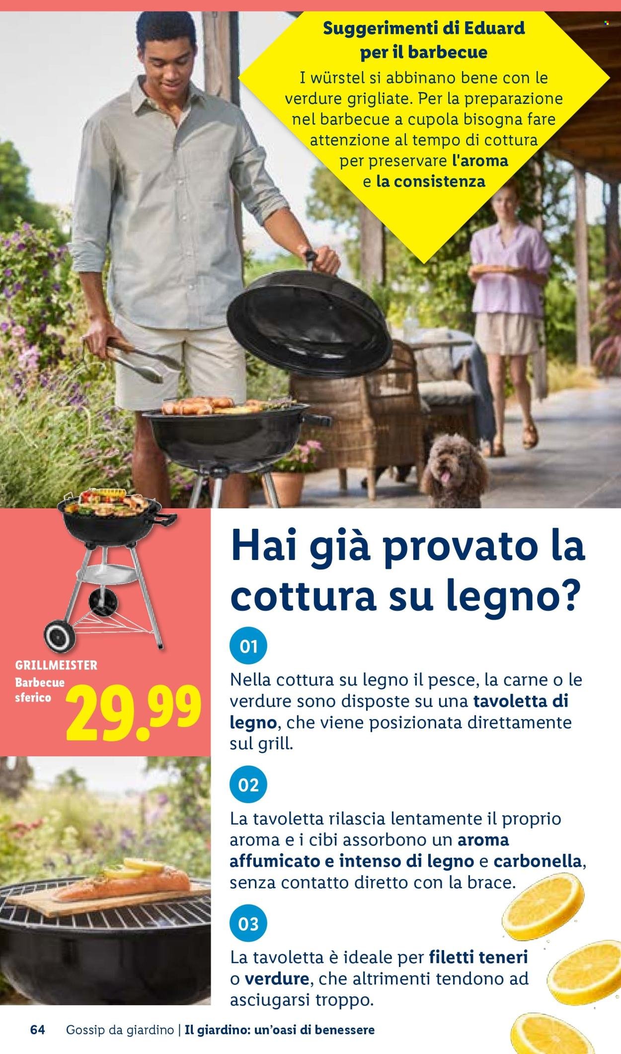 Offerta LIDL - Vivi il tuo giardino (2026-04-22)