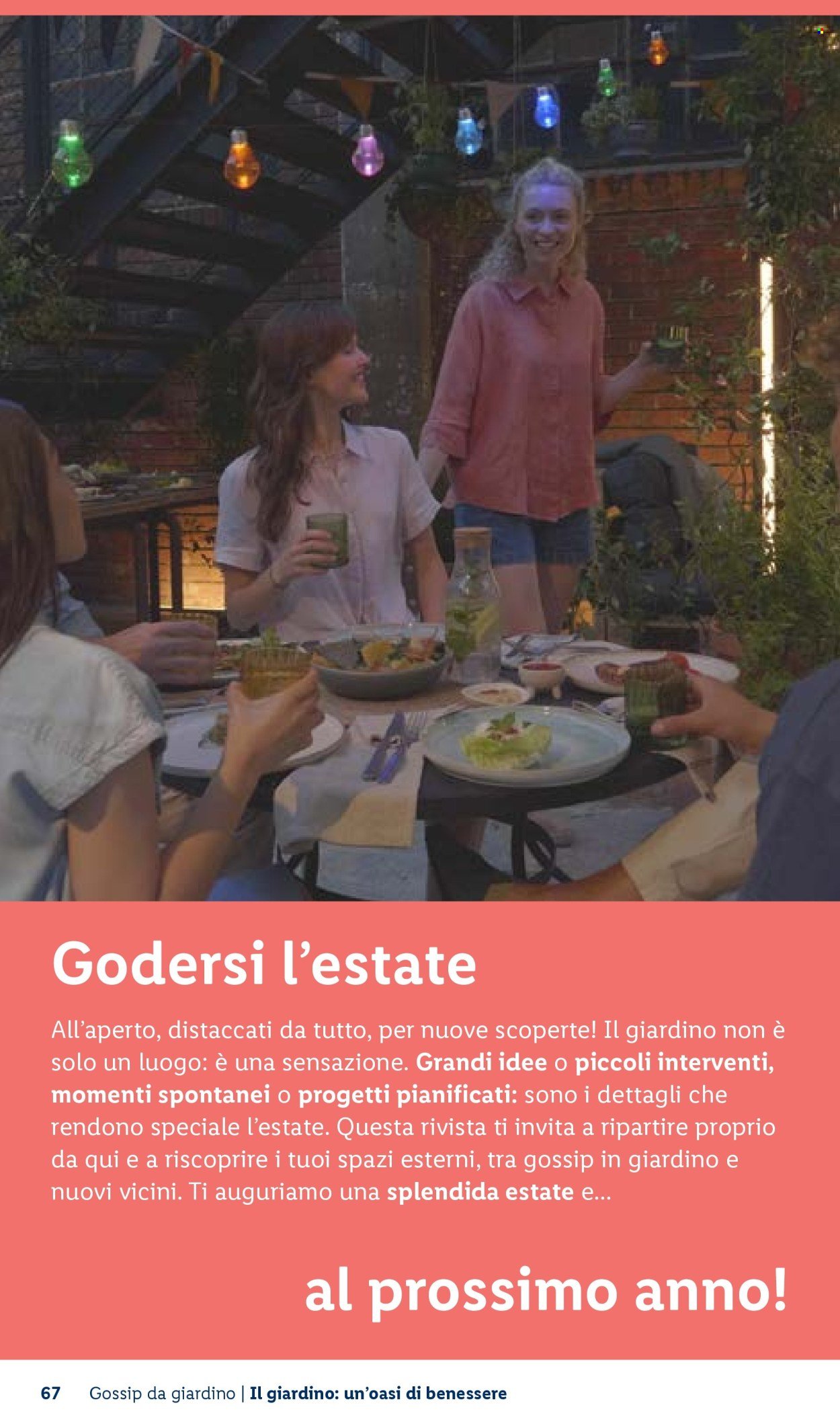 Offerta LIDL - Vivi il tuo giardino (2026-04-22)
