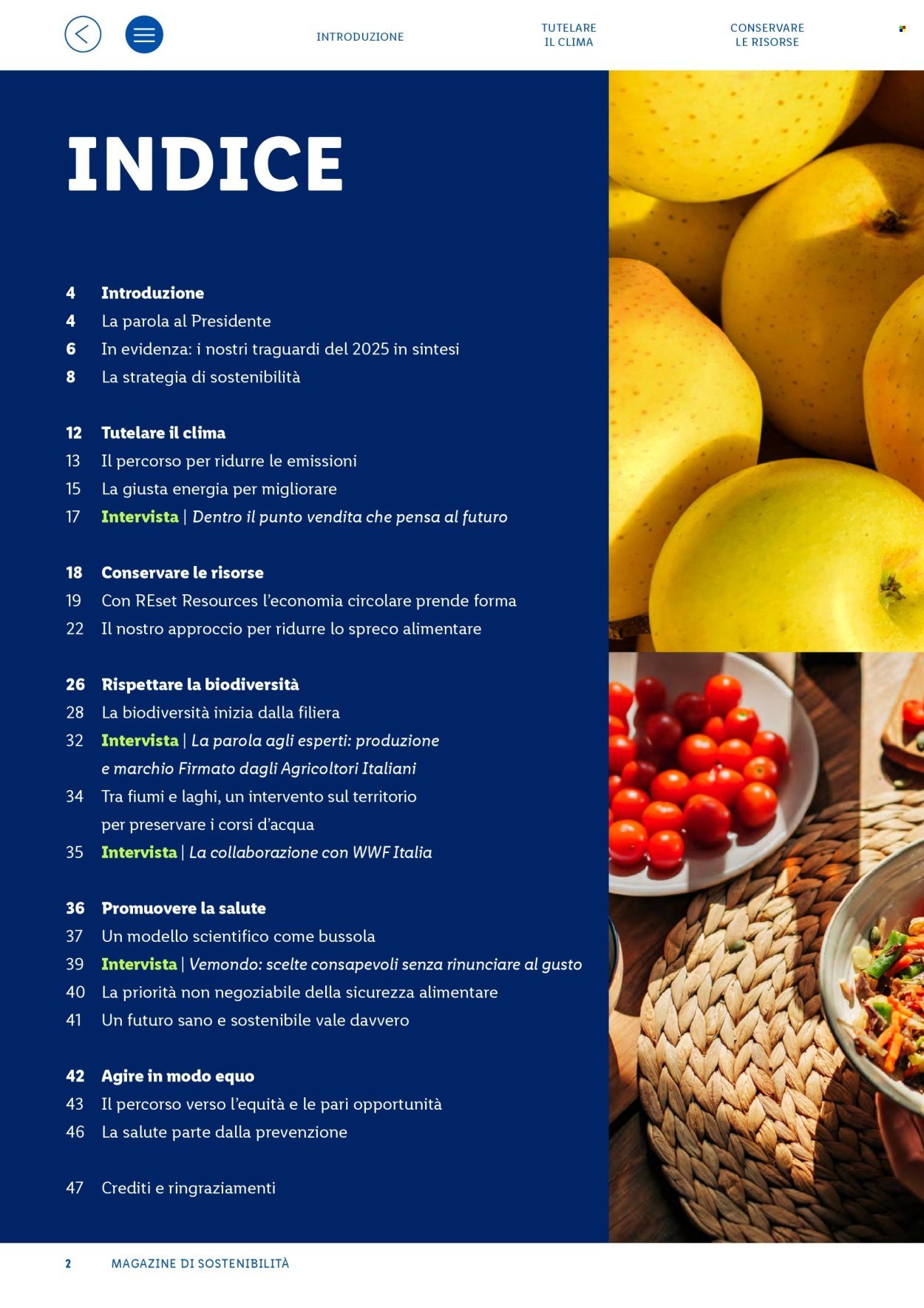 Offerta LIDL - Fatti, numeri e storie