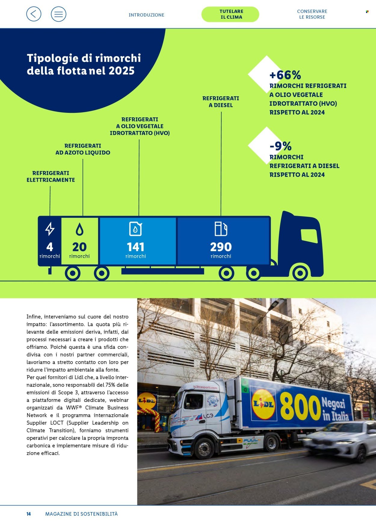 Offerta LIDL - Fatti, numeri e storie
