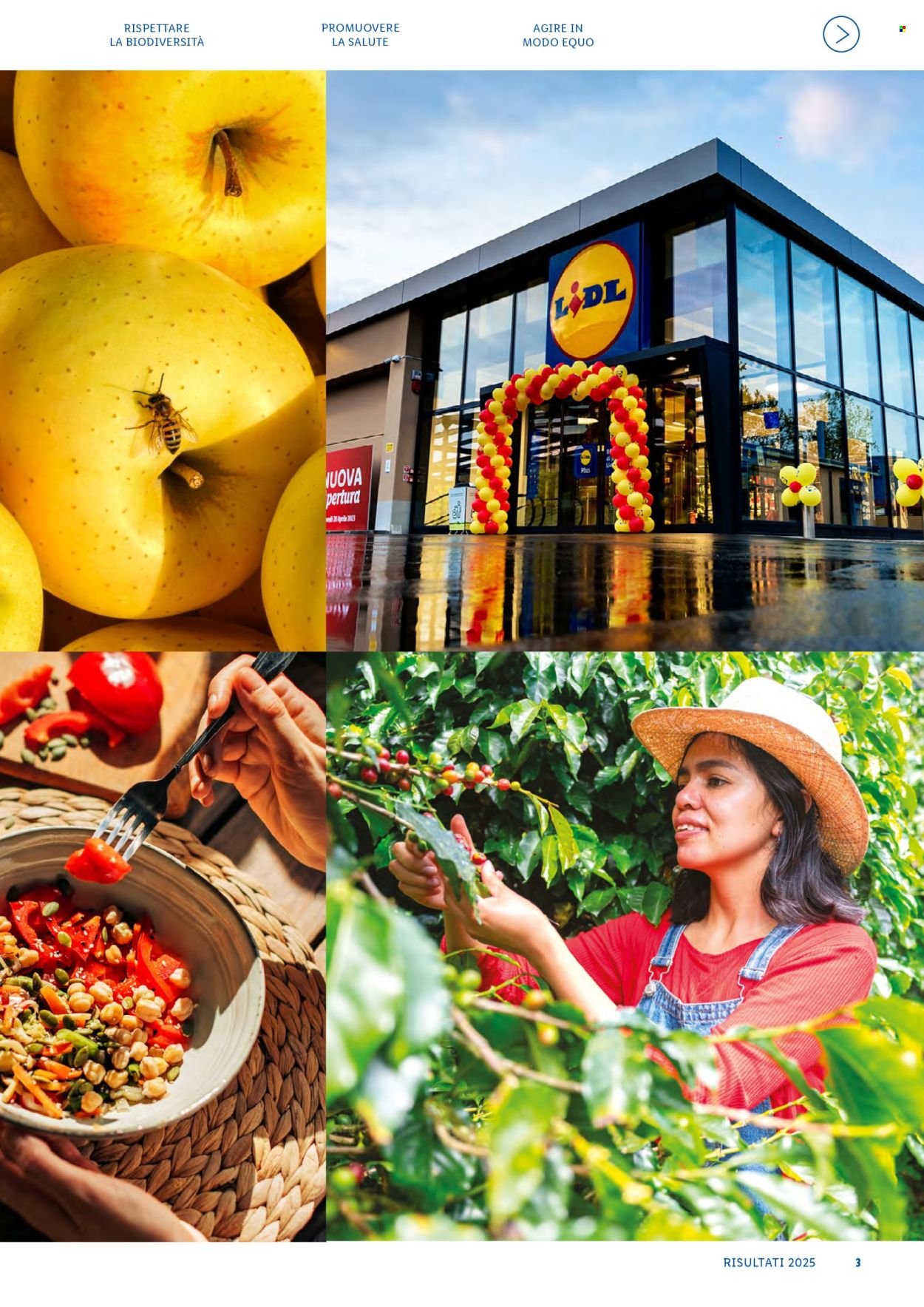 Offerta LIDL - Fatti, numeri e storie