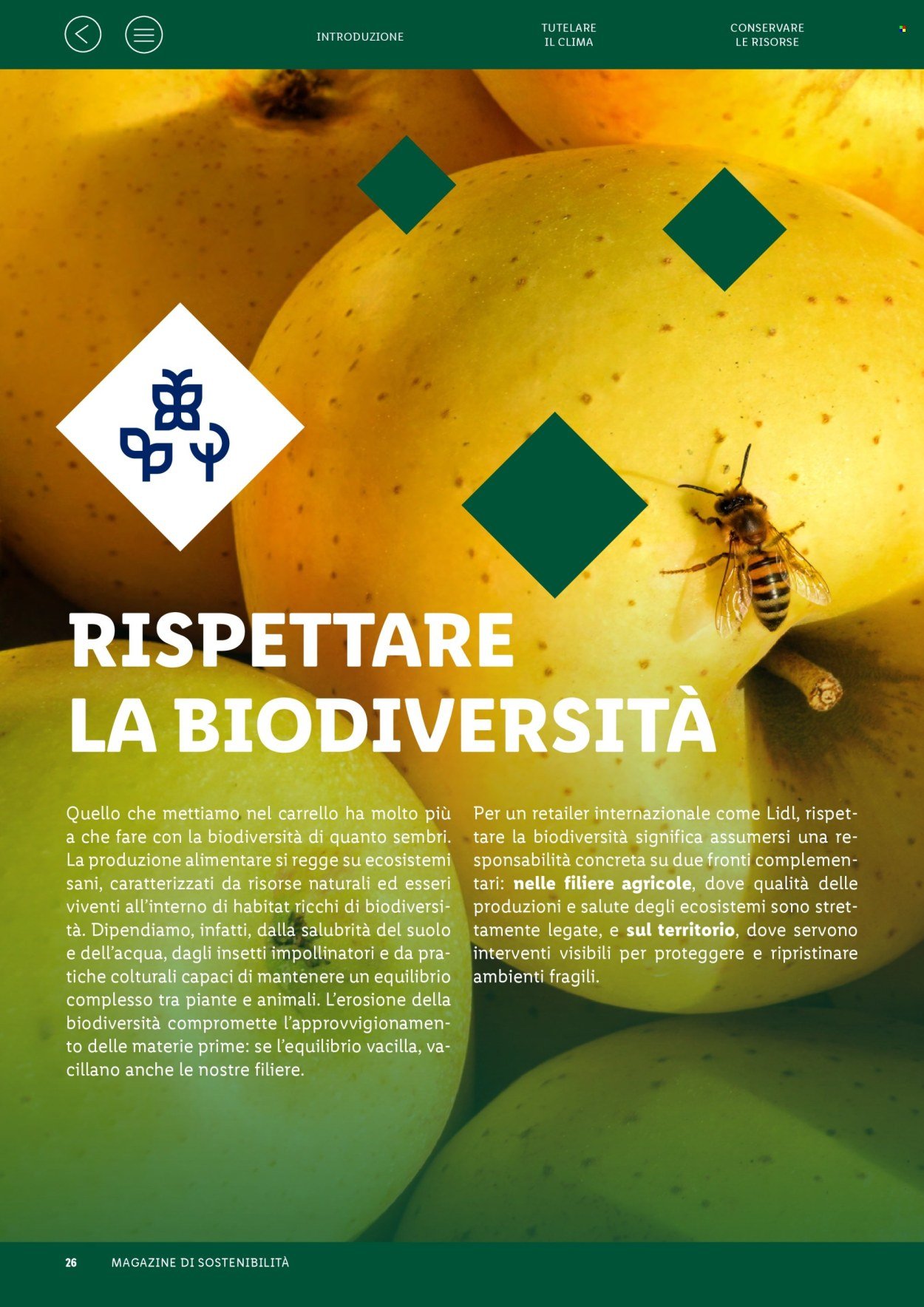 Offerta LIDL - Fatti, numeri e storie