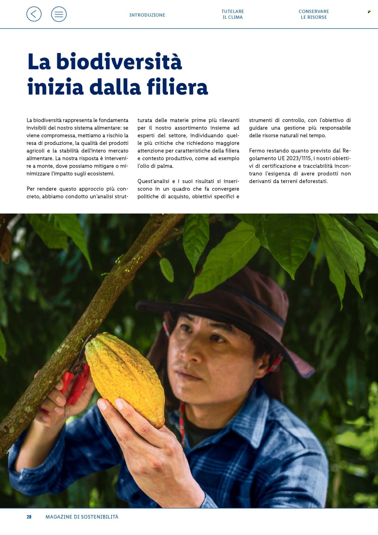 Offerta LIDL - Fatti, numeri e storie