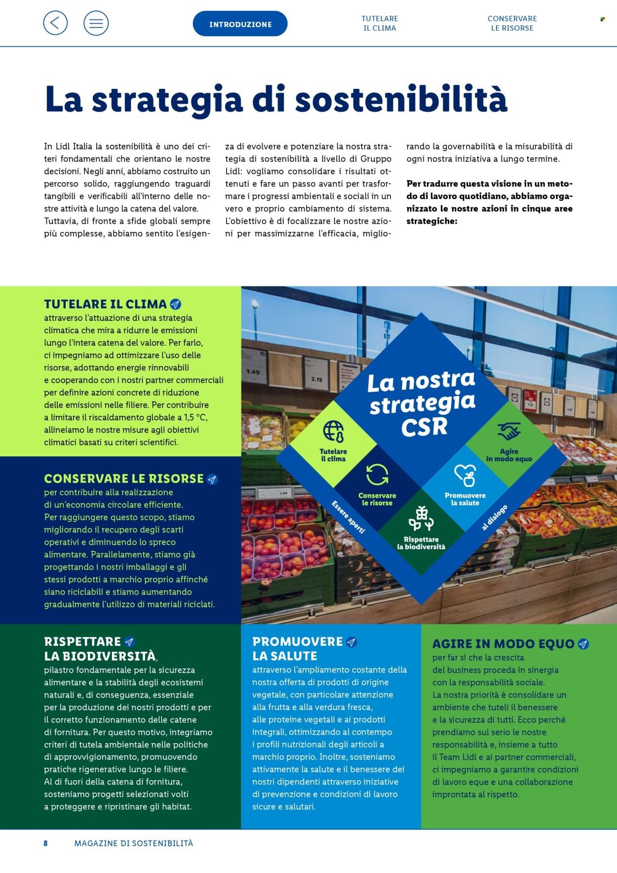 Offerta LIDL - Fatti, numeri e storie