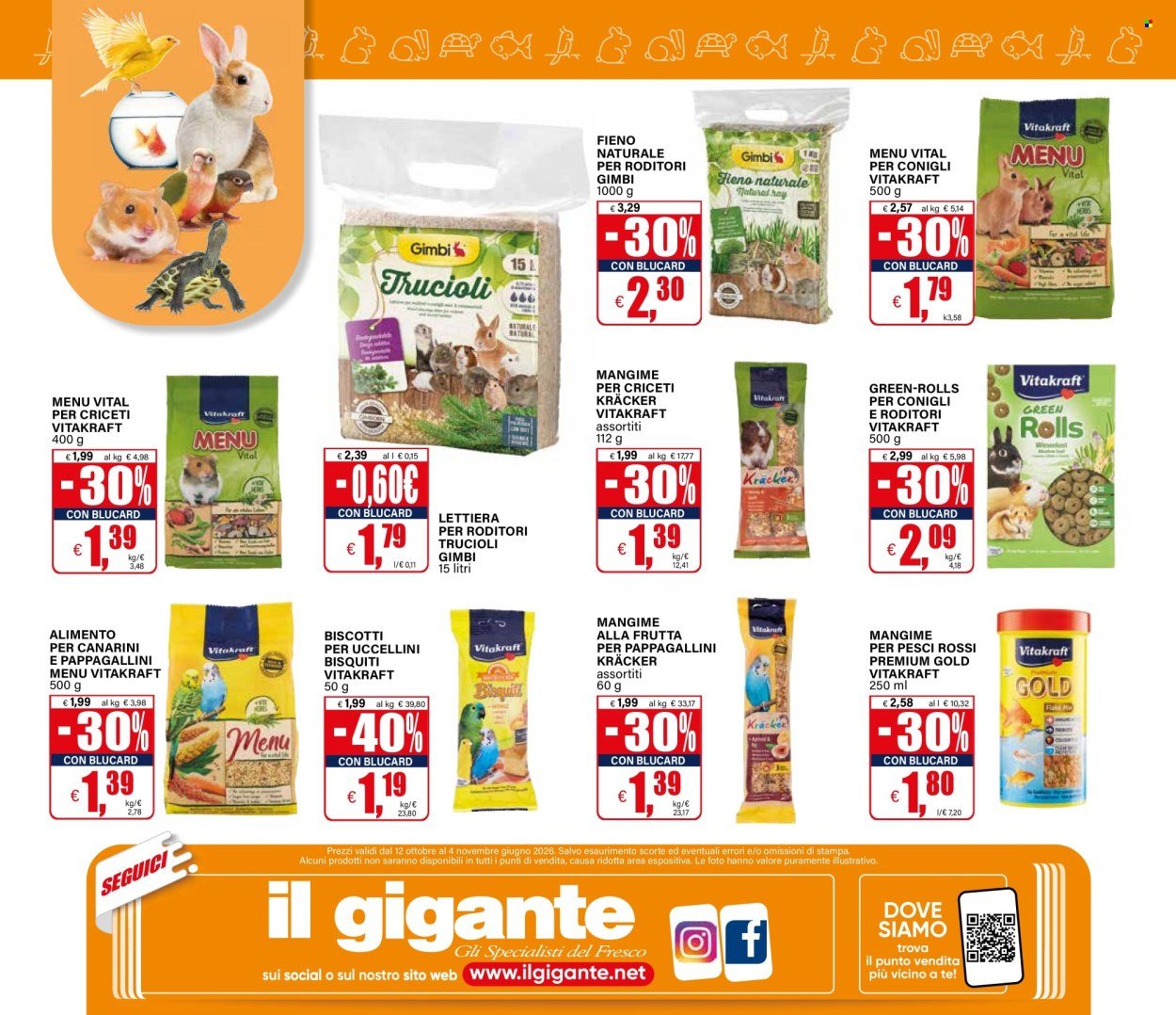 Volantino IL GIGANTE - Pets Amici di codina