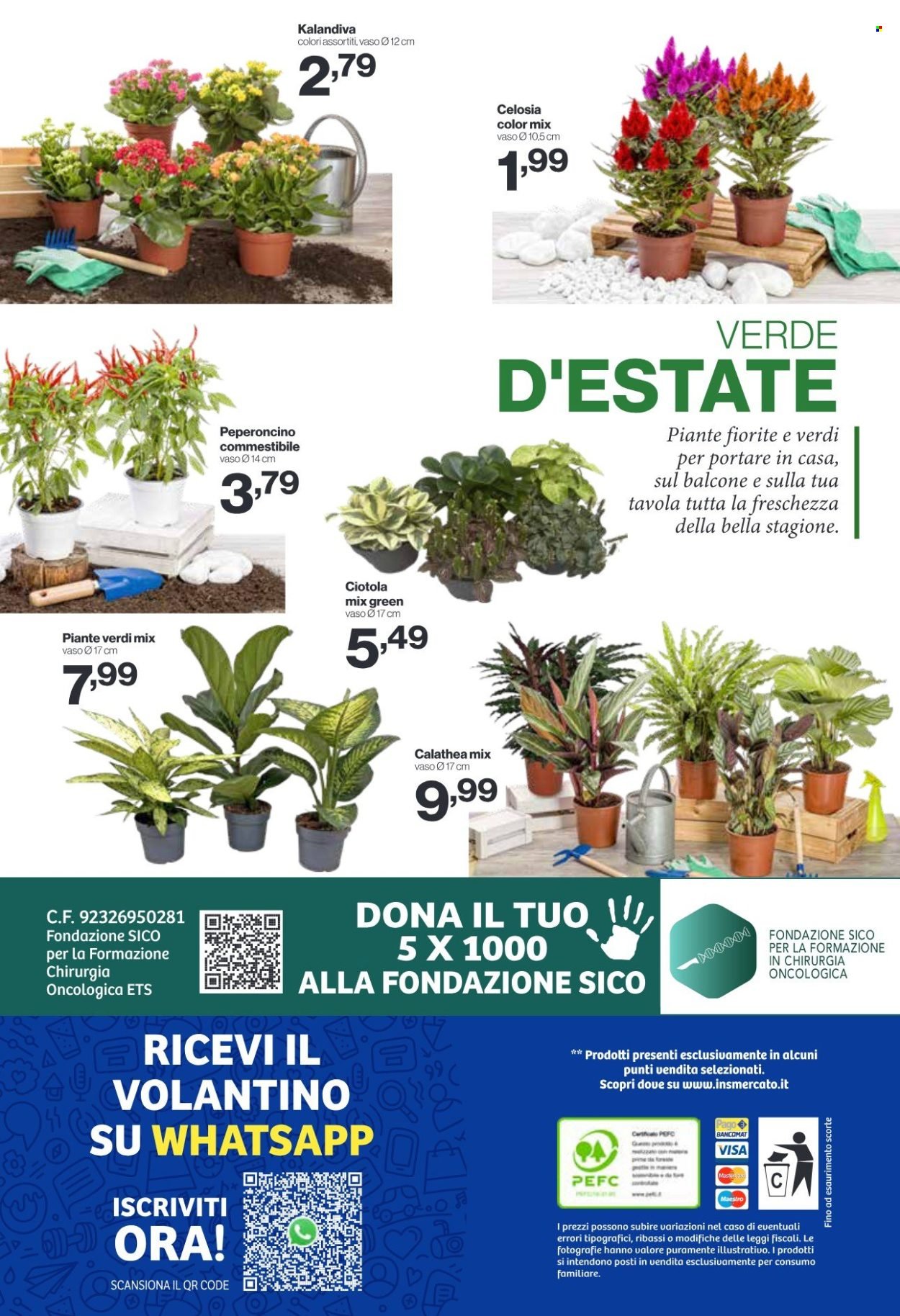 Volantino IN'S MERCATO - Da mercoledì 1 2026
