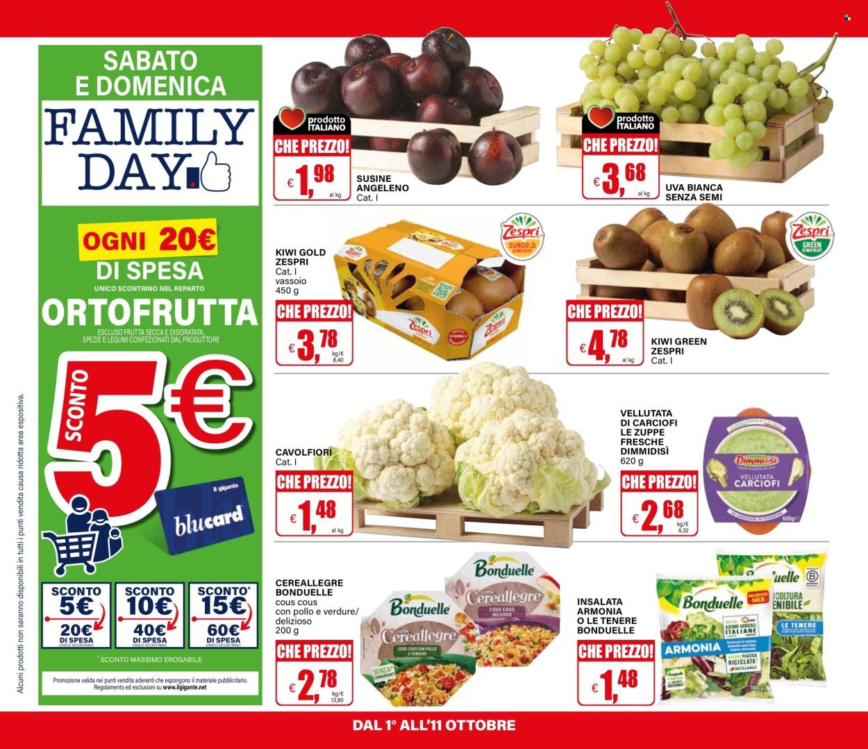 Volantino IL GIGANTE - Sottocosto