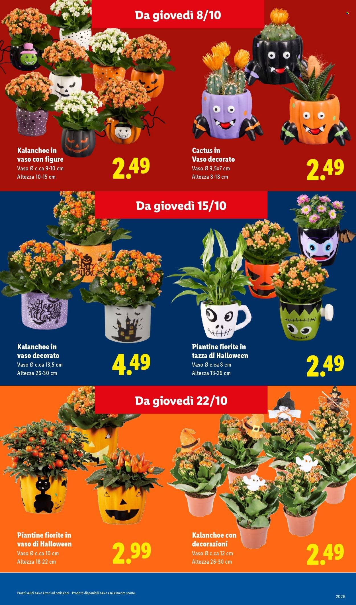 Volantino LIDL - Da Lidl ogni brivido vale davvero.