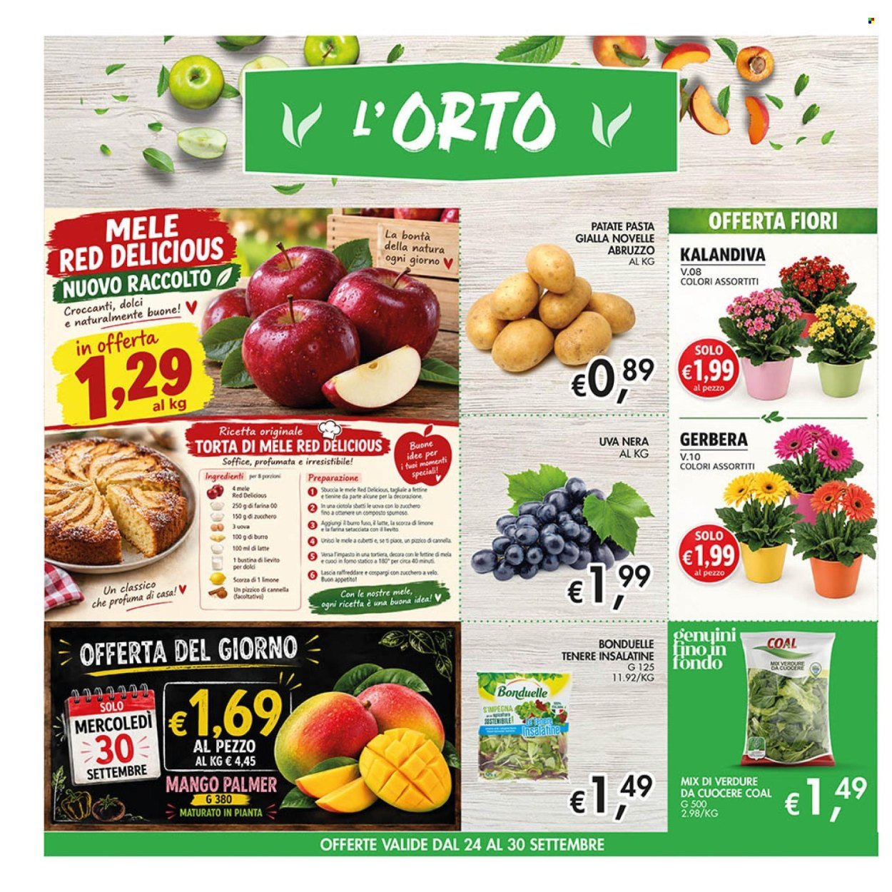 Volantino COAL - Da giovedì 24 settembre 2026