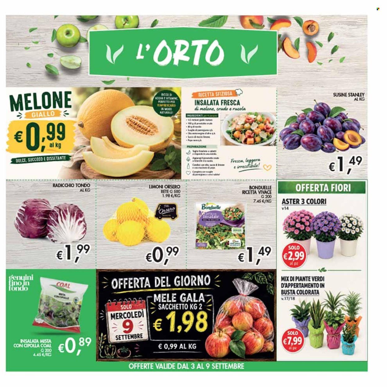 Volantino COAL - Da giovedì 27 agosto 2026