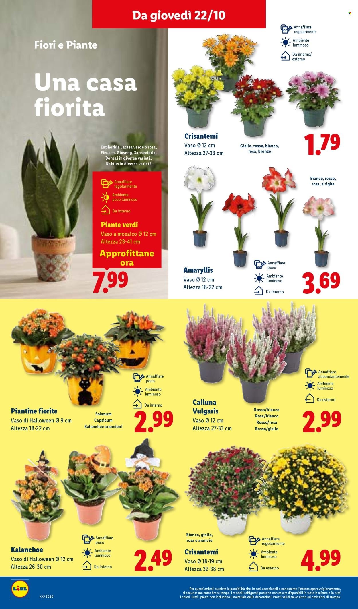 Volantino LIDL - Piccoli Prezzi