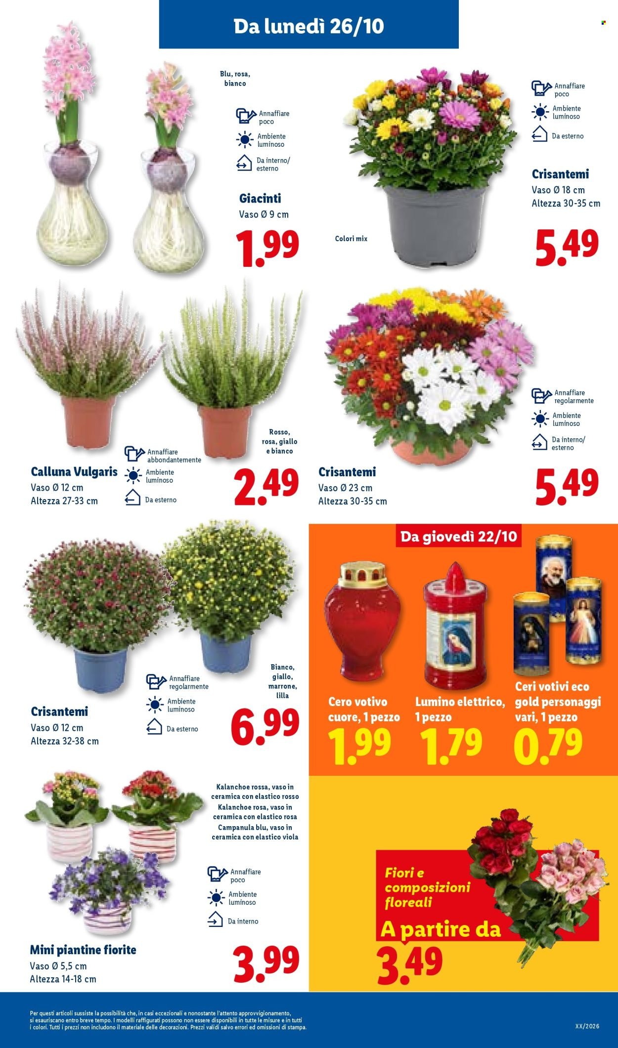Volantino LIDL - Piccoli Prezzi