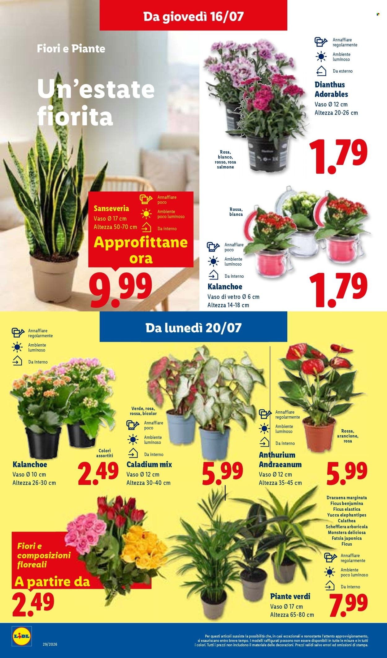 Volantino LIDL - L'estate del risparmio