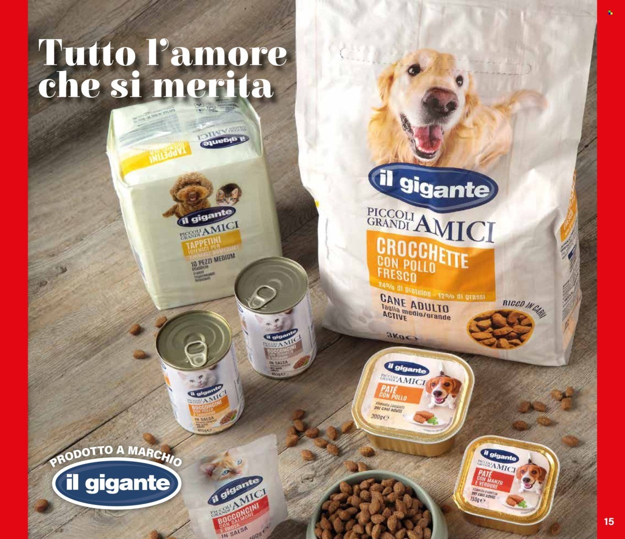 Volantino IL GIGANTE - Che sconti!