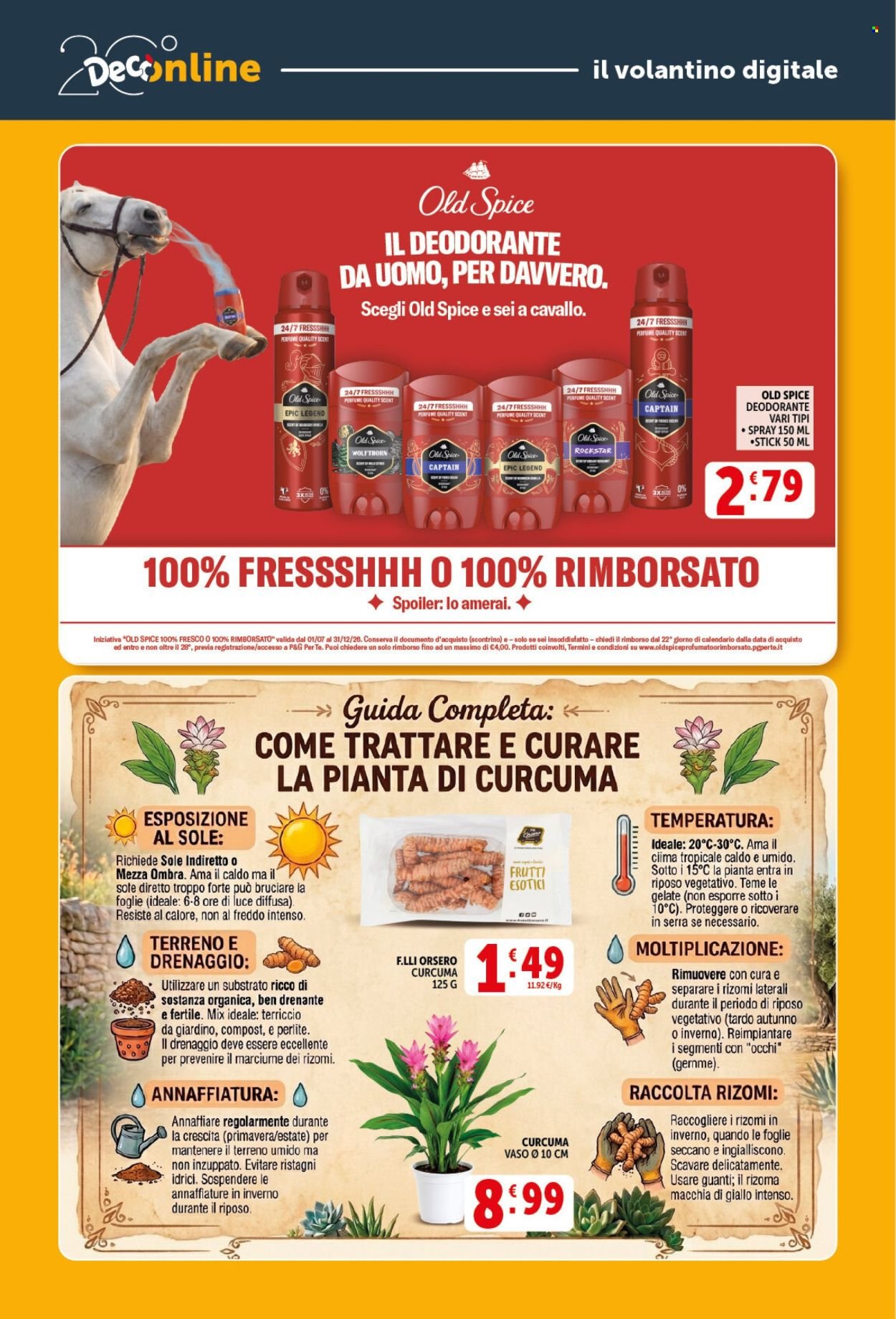 Volantino DECO - Da venerdì 11 2026