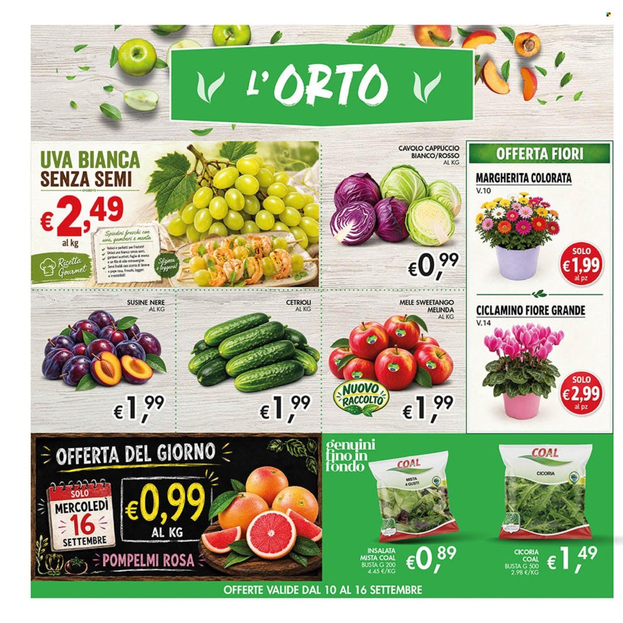 Volantino COAL - Da giovedì 10 2026