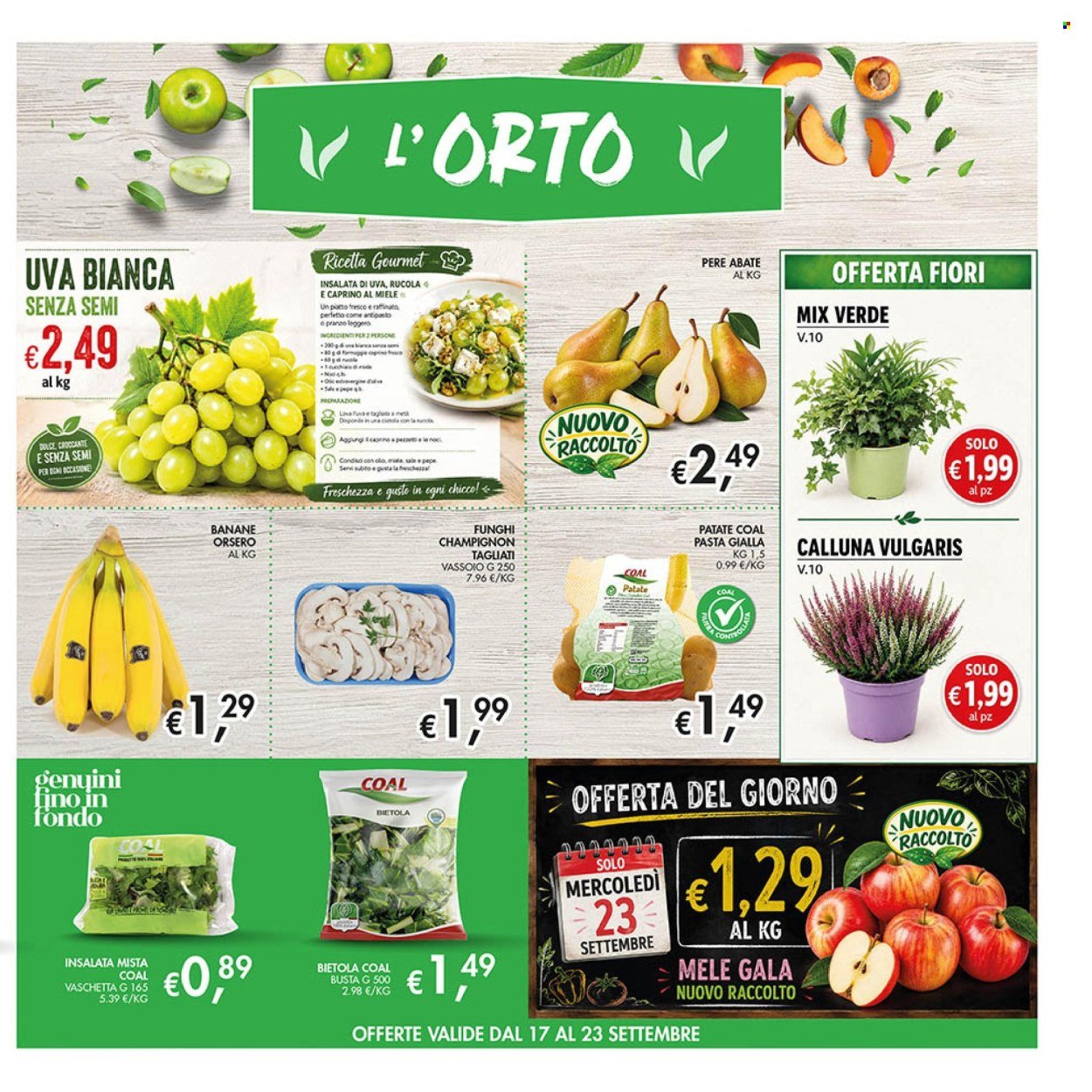 Volantino COAL - Da giovedì 10 2026