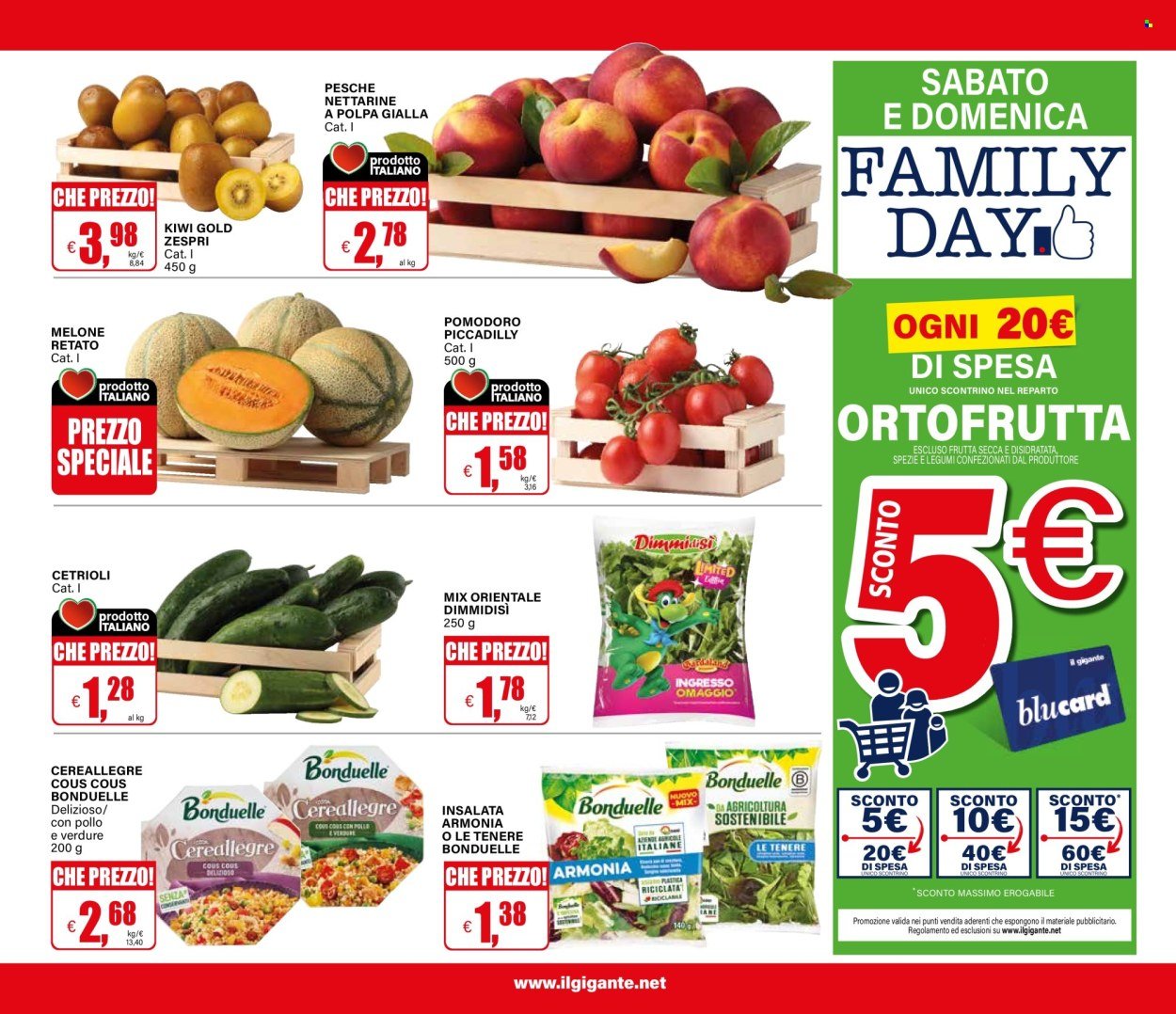 Volantino IL GIGANTE - Da giovedì 16 2026