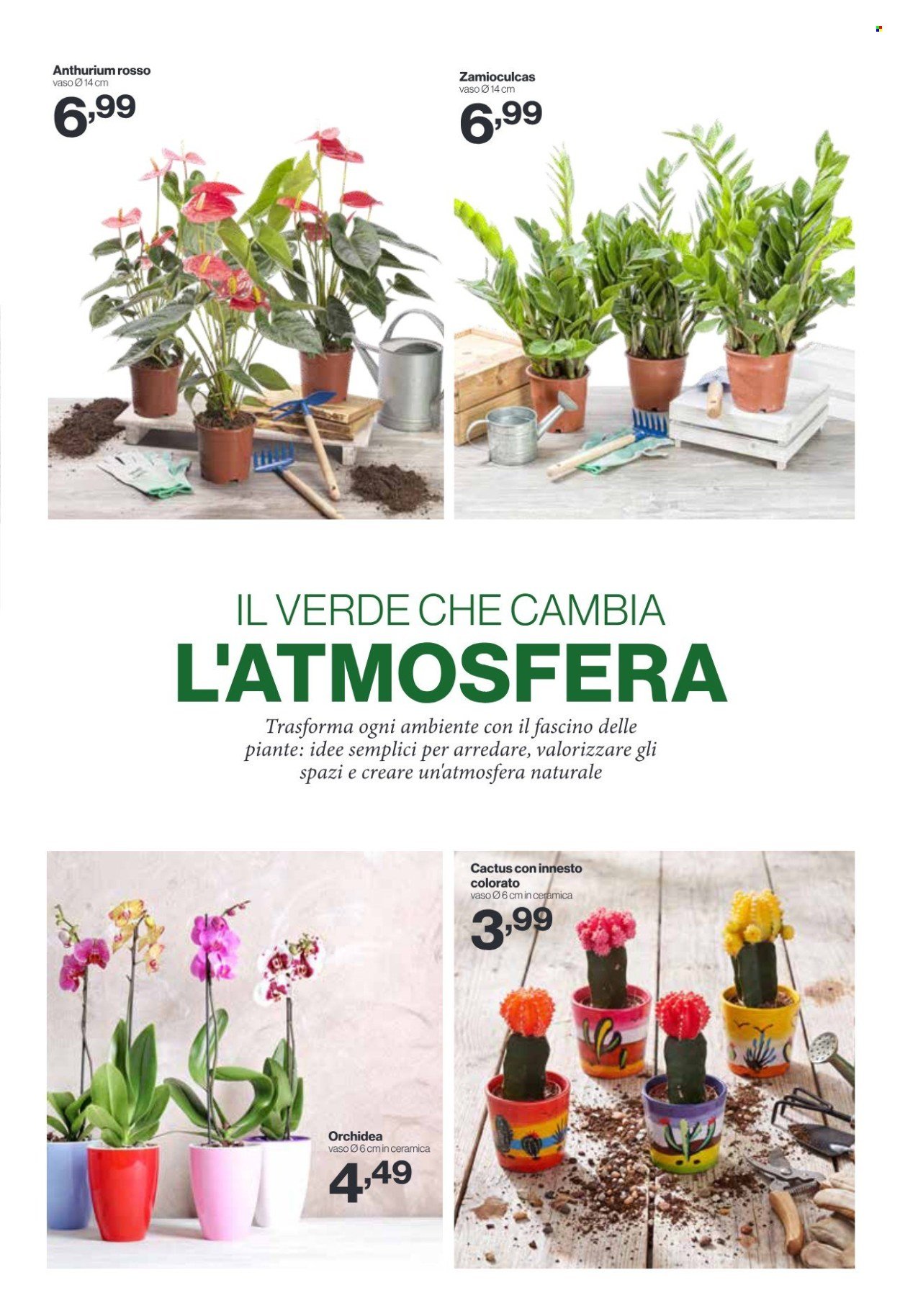 Volantino IN'S MERCATO - Da mercoledì 12 2026
