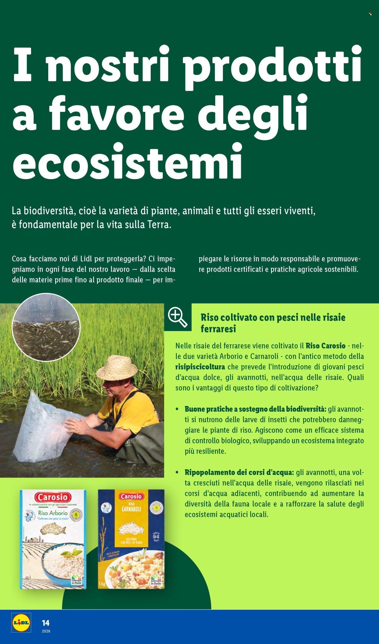 Offerta LIDL - Sulla via del domani (2026-01-19)