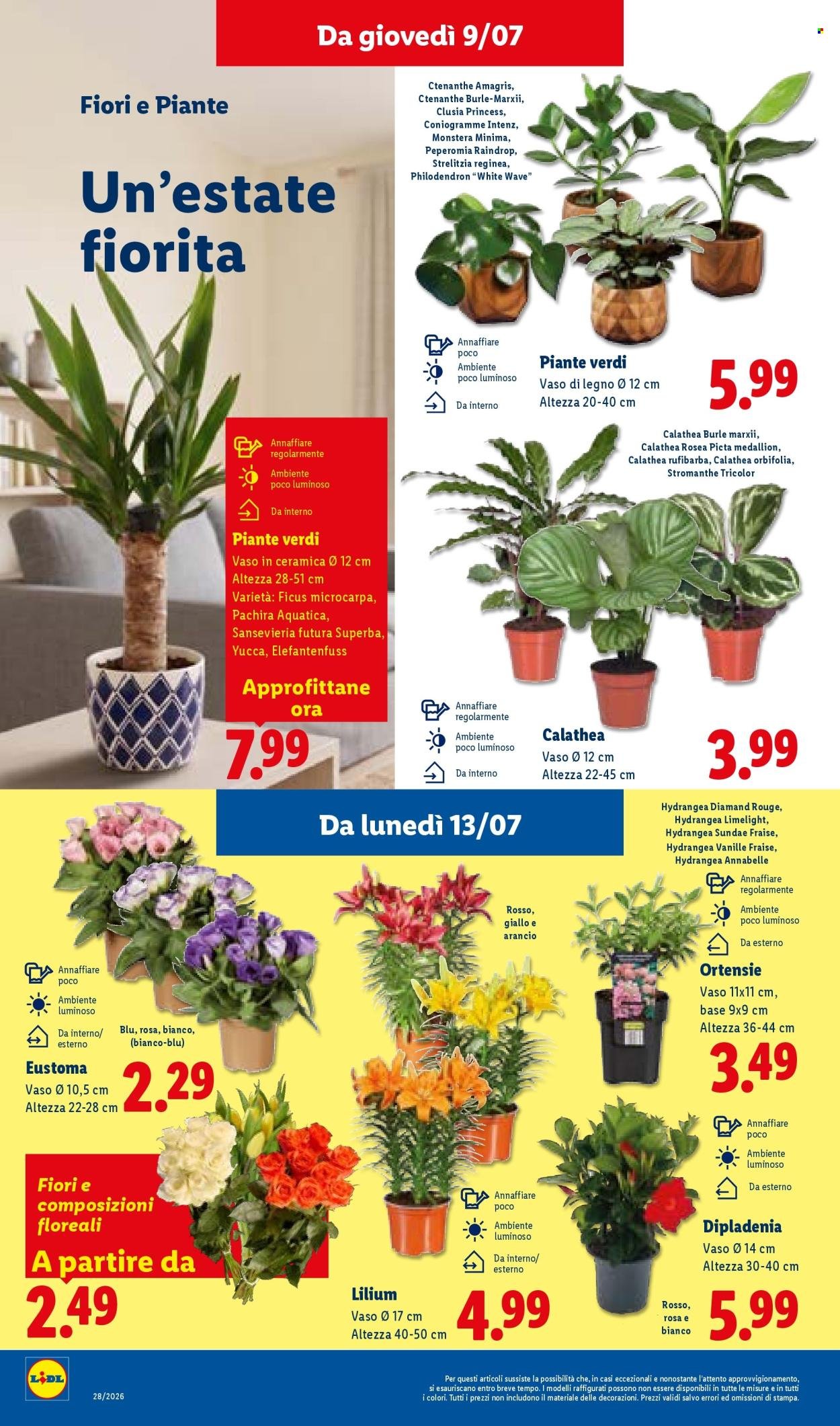 Volantino LIDL - L'estate del risparmio