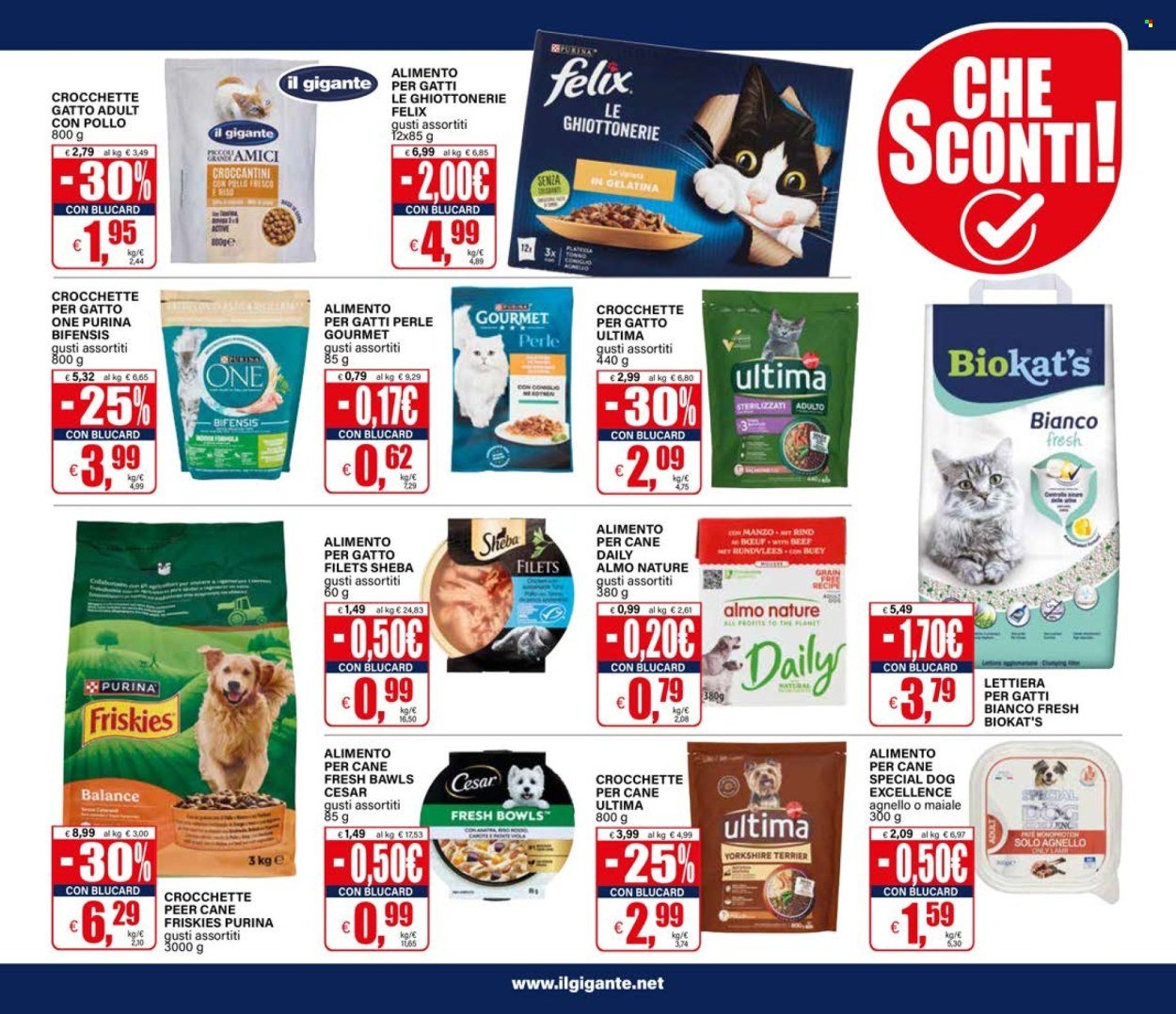 Volantino IL GIGANTE - Sconti giganteschi