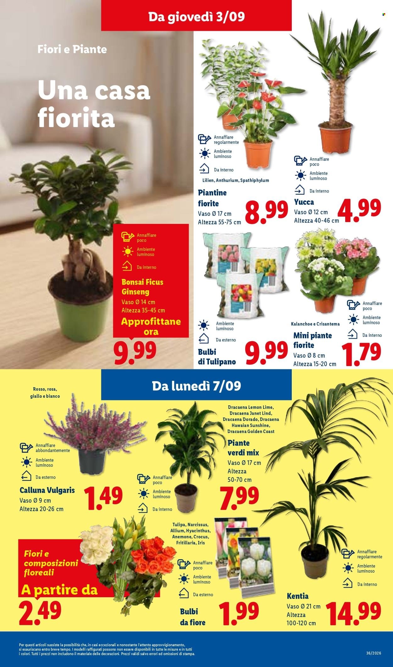 Volantino LIDL - Sottocosto