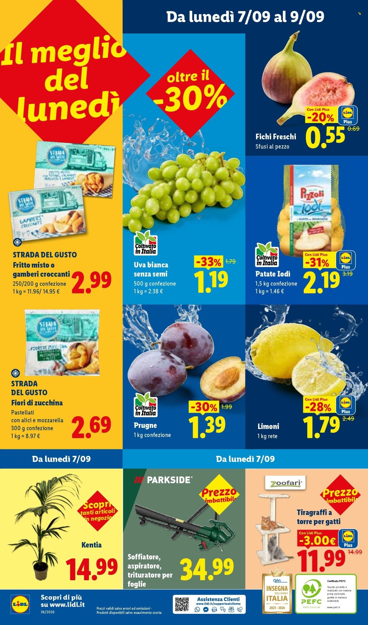 Volantino LIDL - Sottocosto
