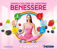 Volantino IL GIGANTE - Diamo colore al nostro benessere