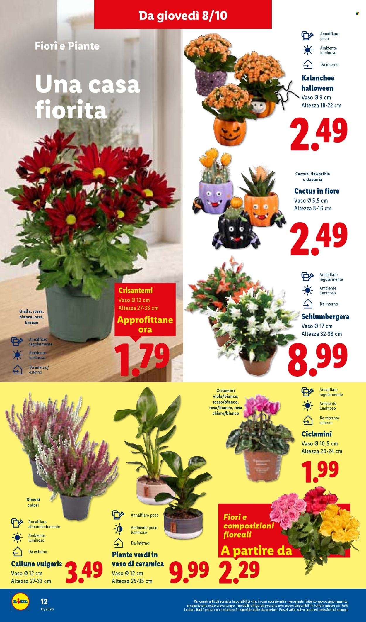 Volantino LIDL - Super Offerte