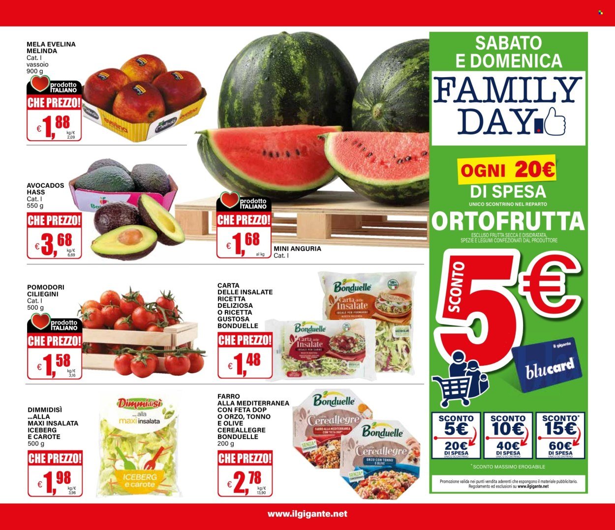 Volantino IL GIGANTE - Sconti giganteschi (2026-05-21 - 2026-06-03)