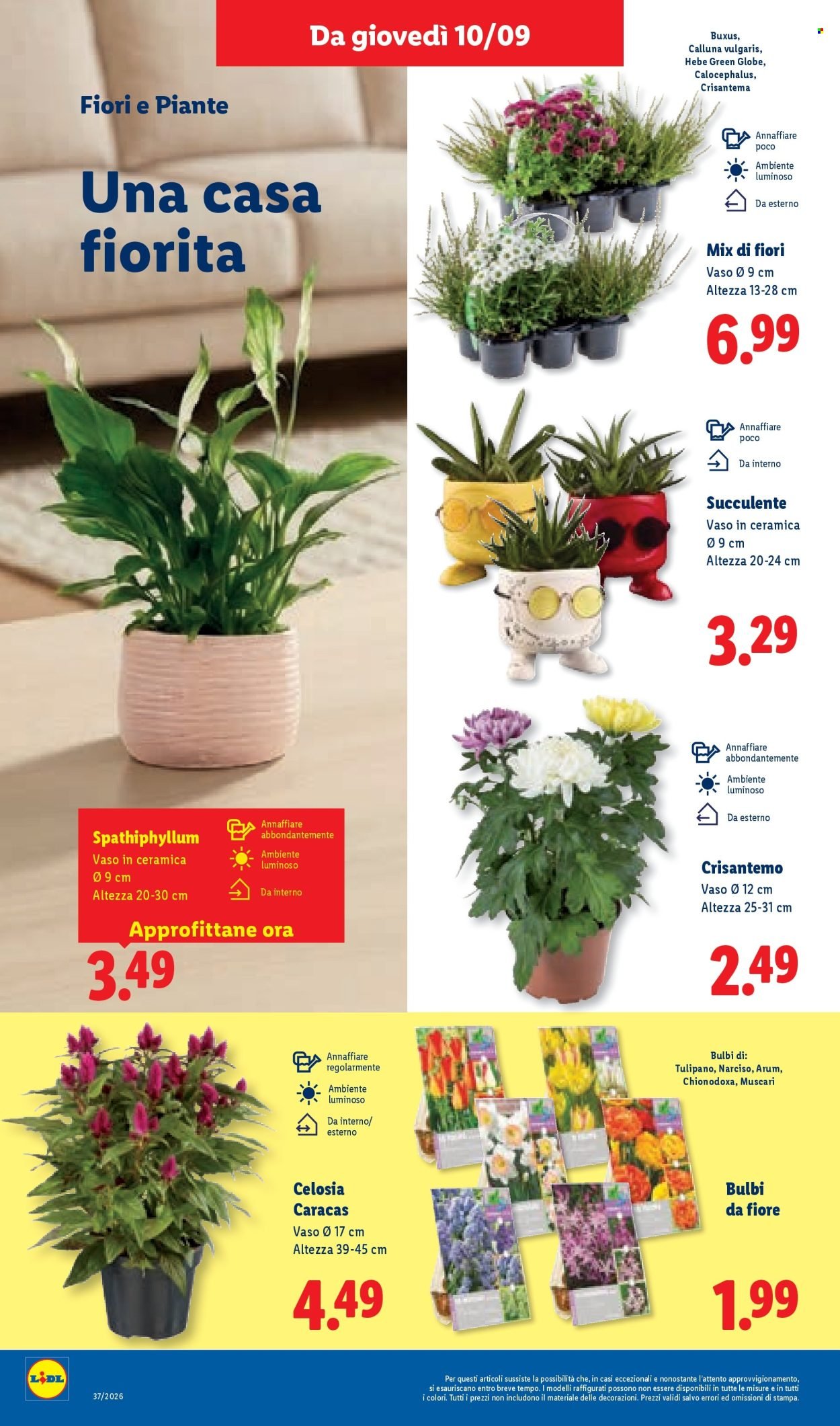 Volantino LIDL - Piccoli Prezzi