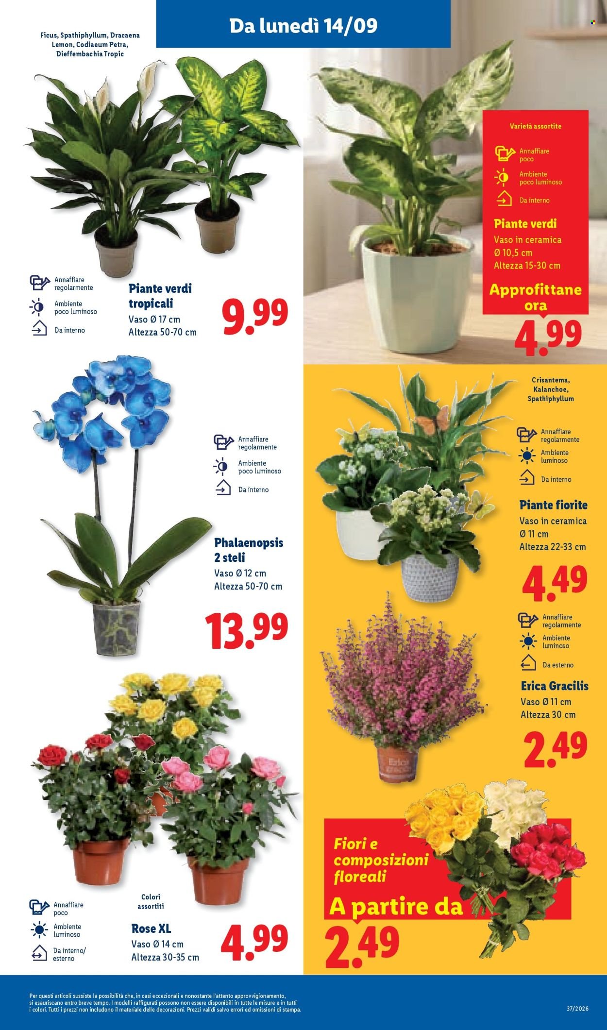 Volantino LIDL - Piccoli Prezzi