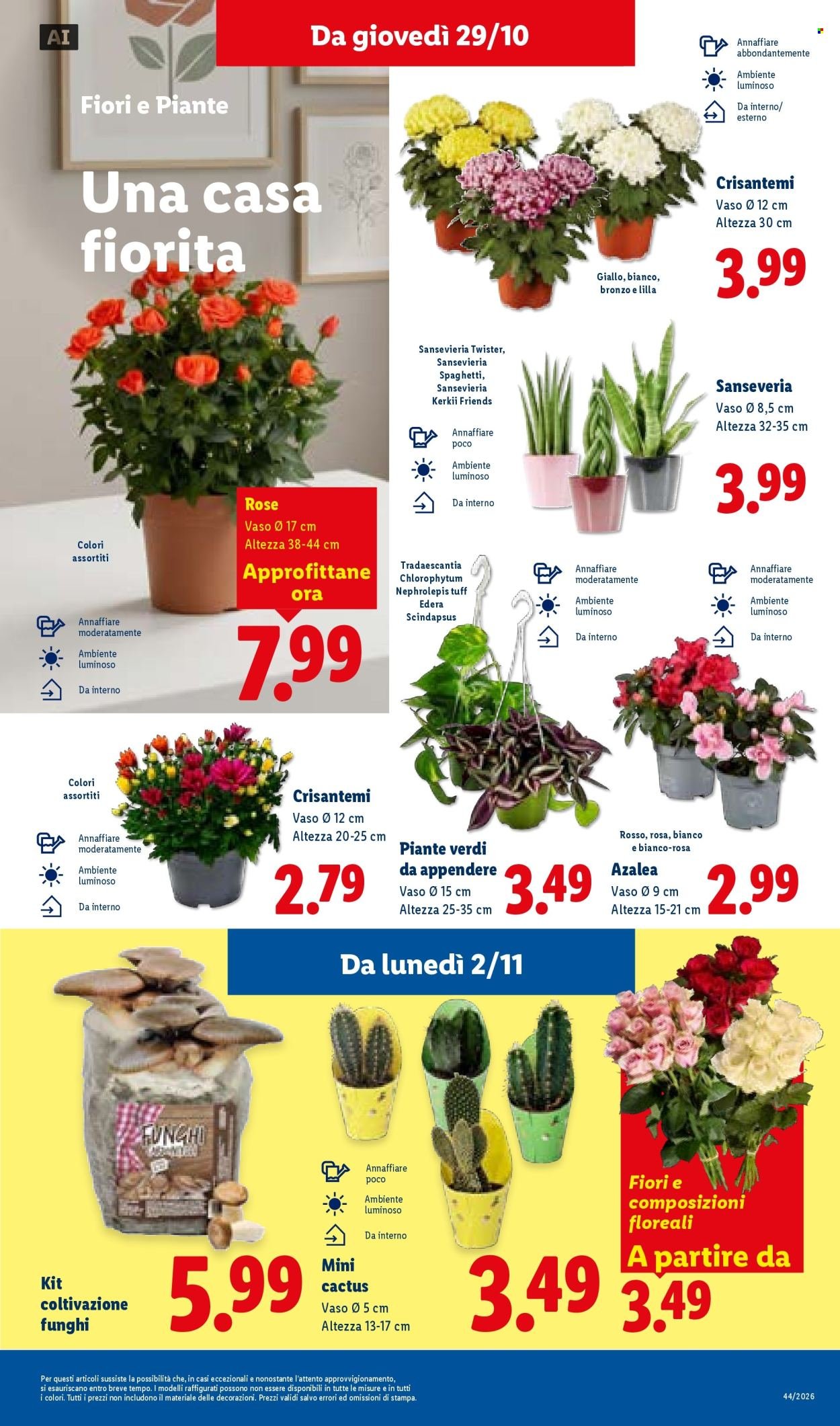 Volantino LIDL - La convenienza Deluxe a prezzi imbattibili