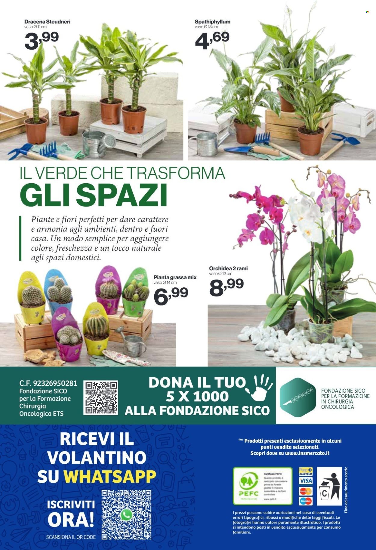 Volantino IN'S MERCATO - Da mercoledì 17 2026