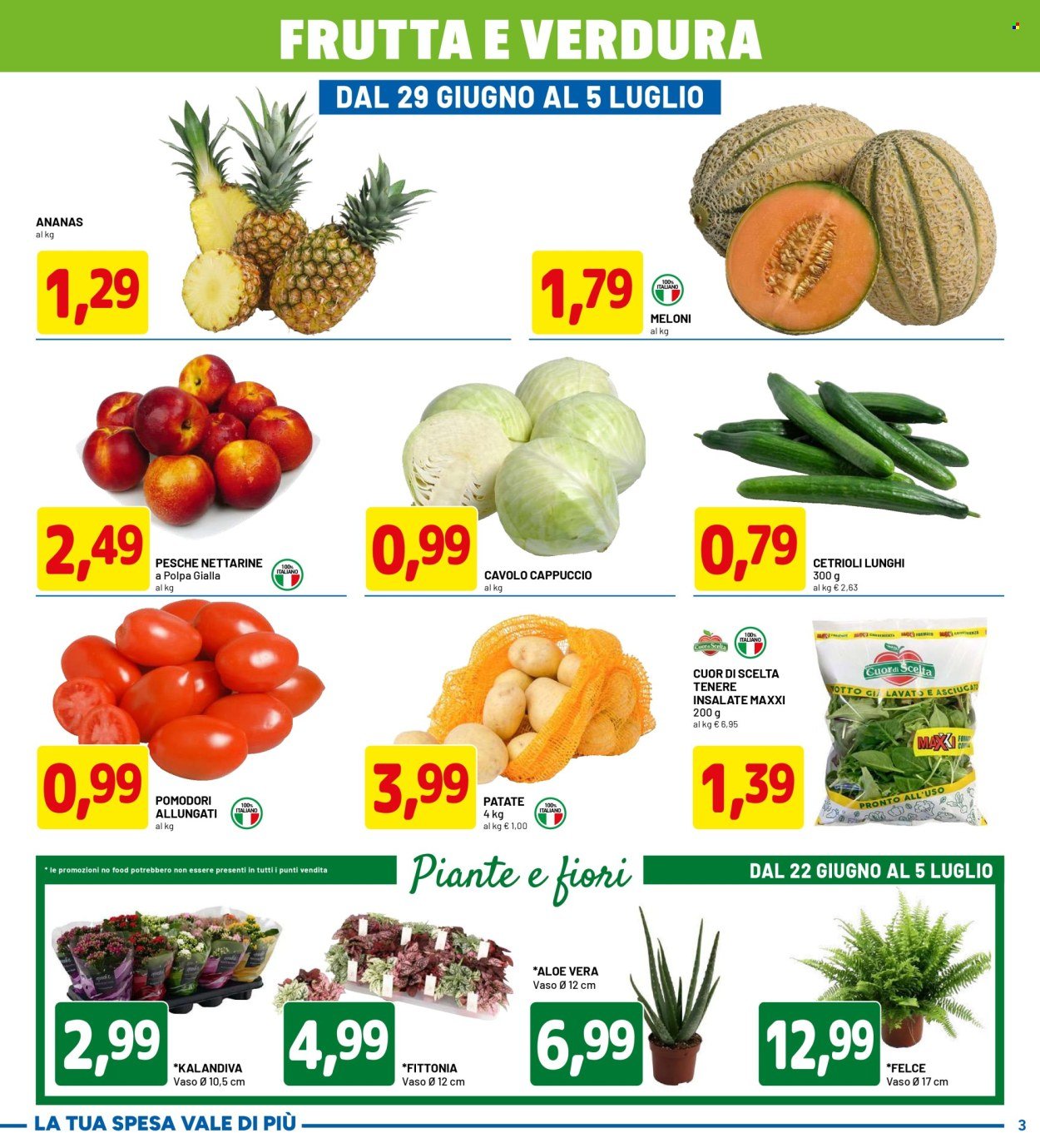 Volantino DPIÙ - 14 GIORNI DI FOLLIA