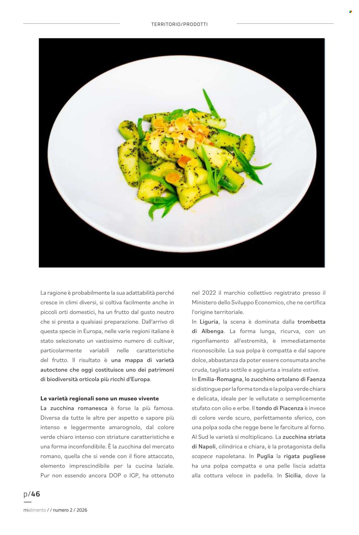 Offerta COAL - Luglio 2026