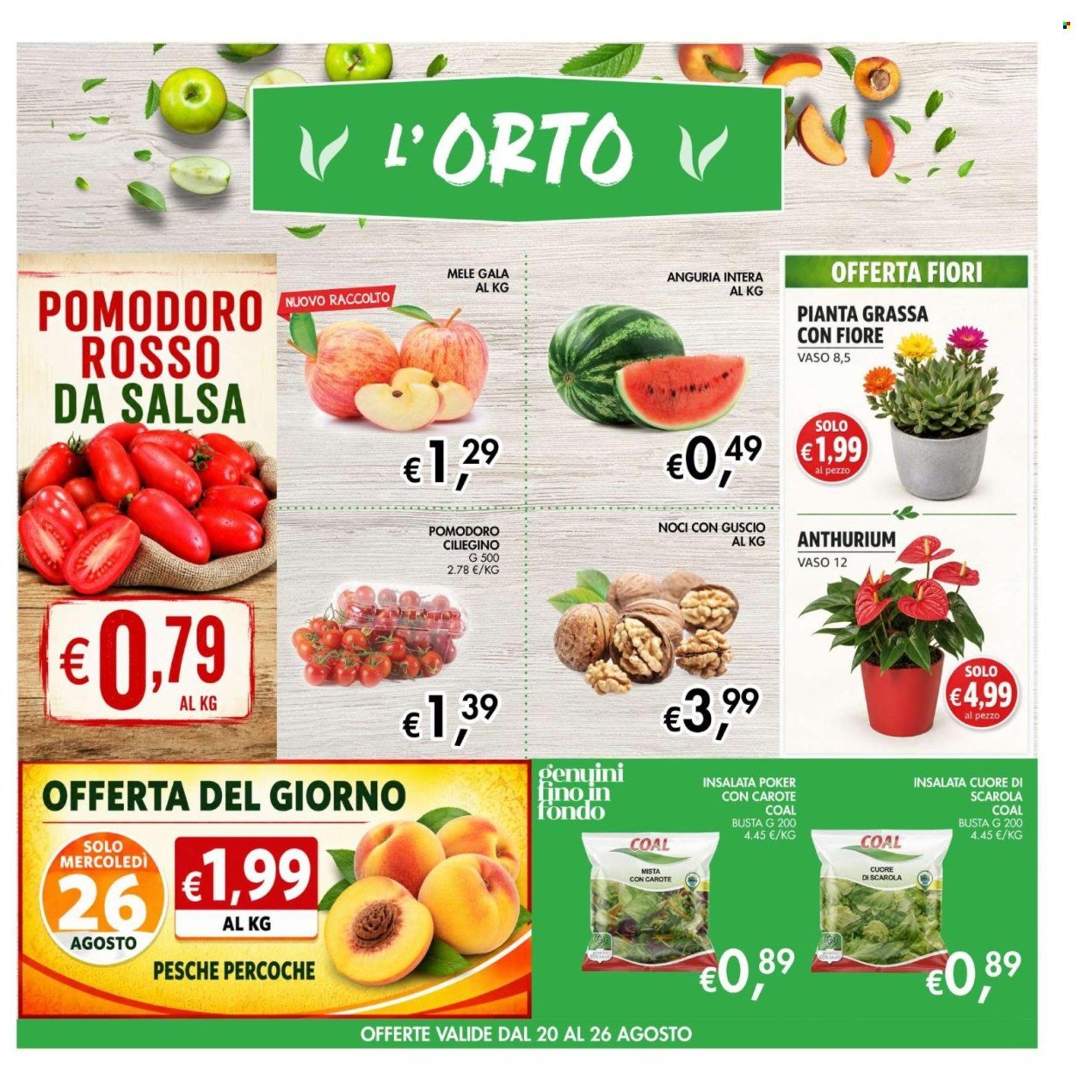 Volantino COAL - Da giovedì 13 2026